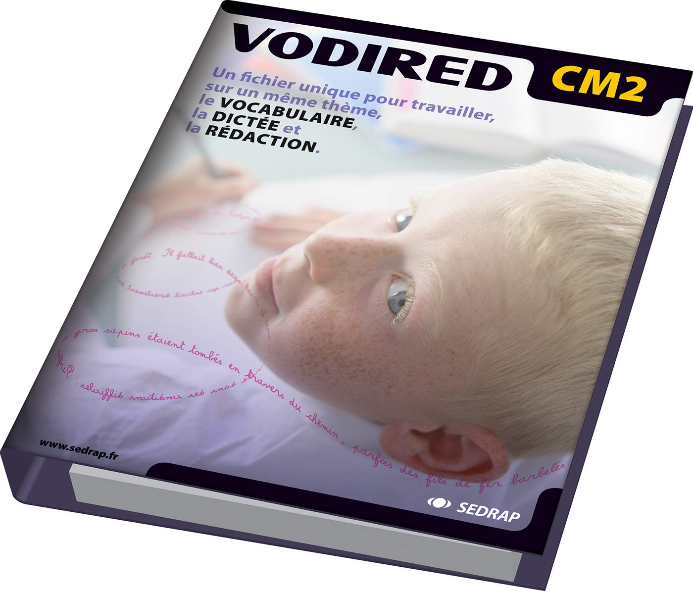 Vocabulaire, dictes et rdactions CM2 CM2 (Le classeur-guide) book