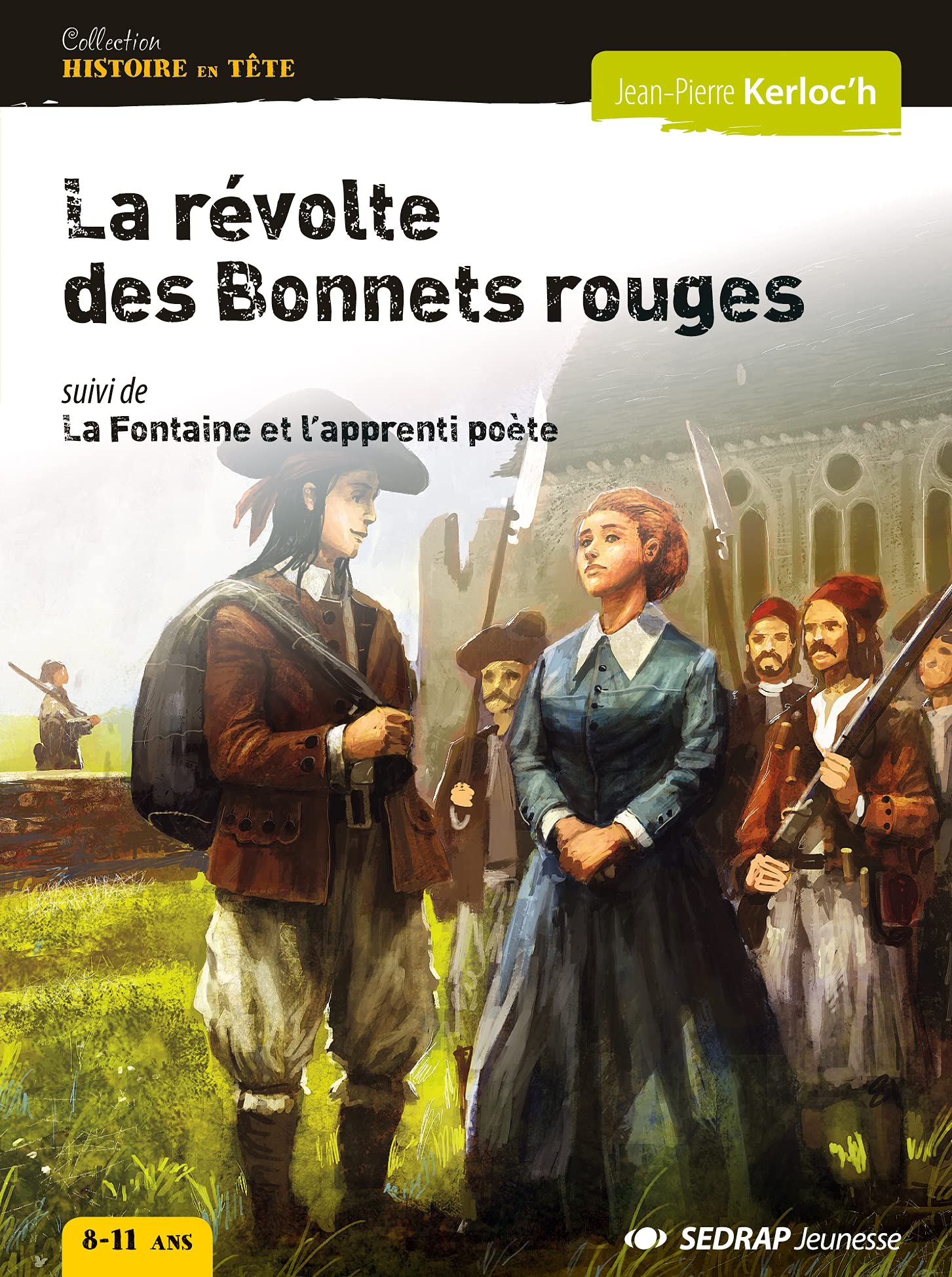 revolte des bonnets rouges - roman book