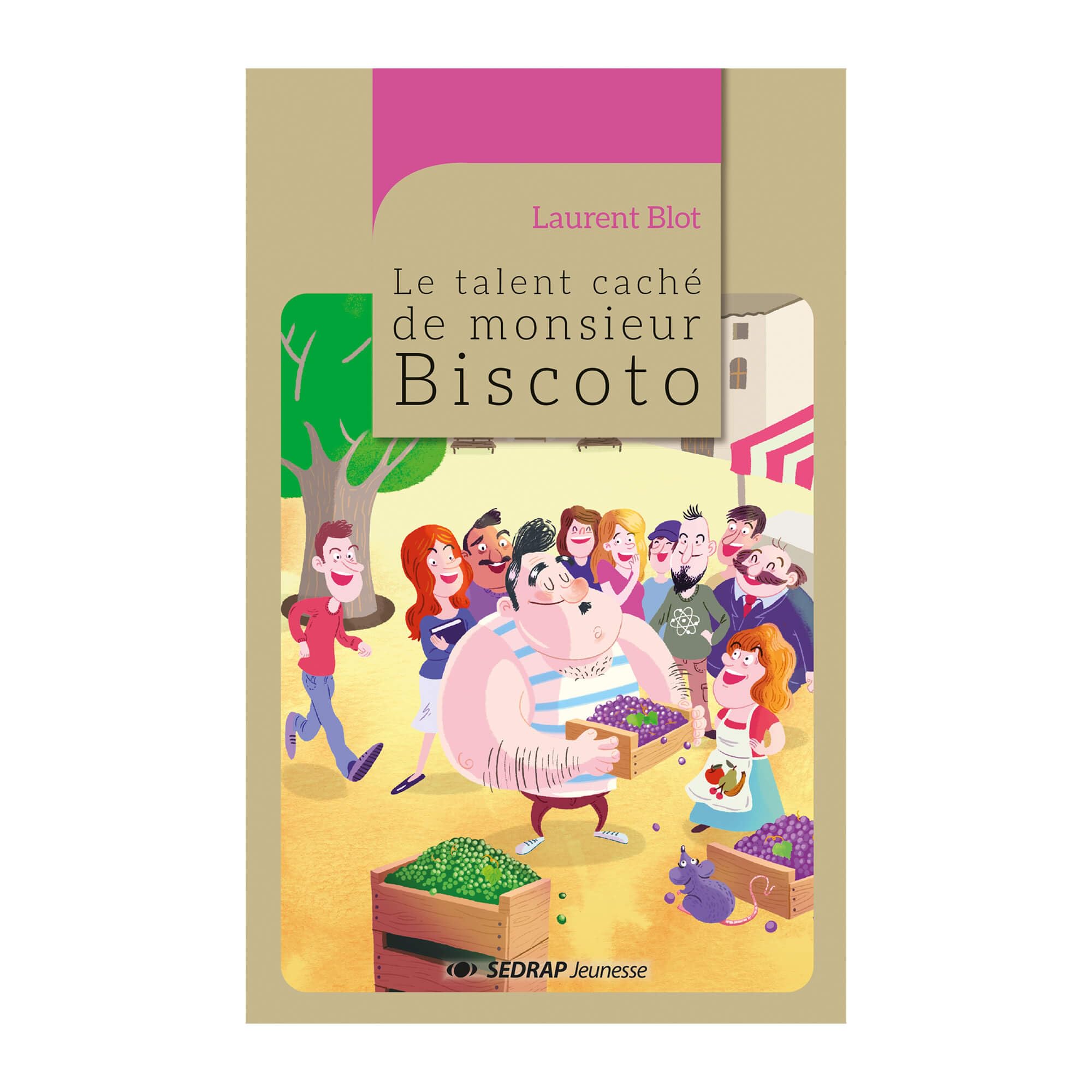 talent cache de monsieur biscoto - roman book