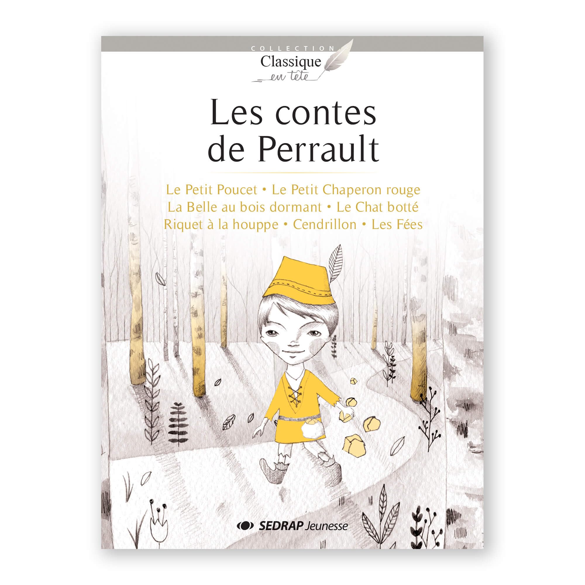 CONTES DE PERRAULT - ROMAN Children's books