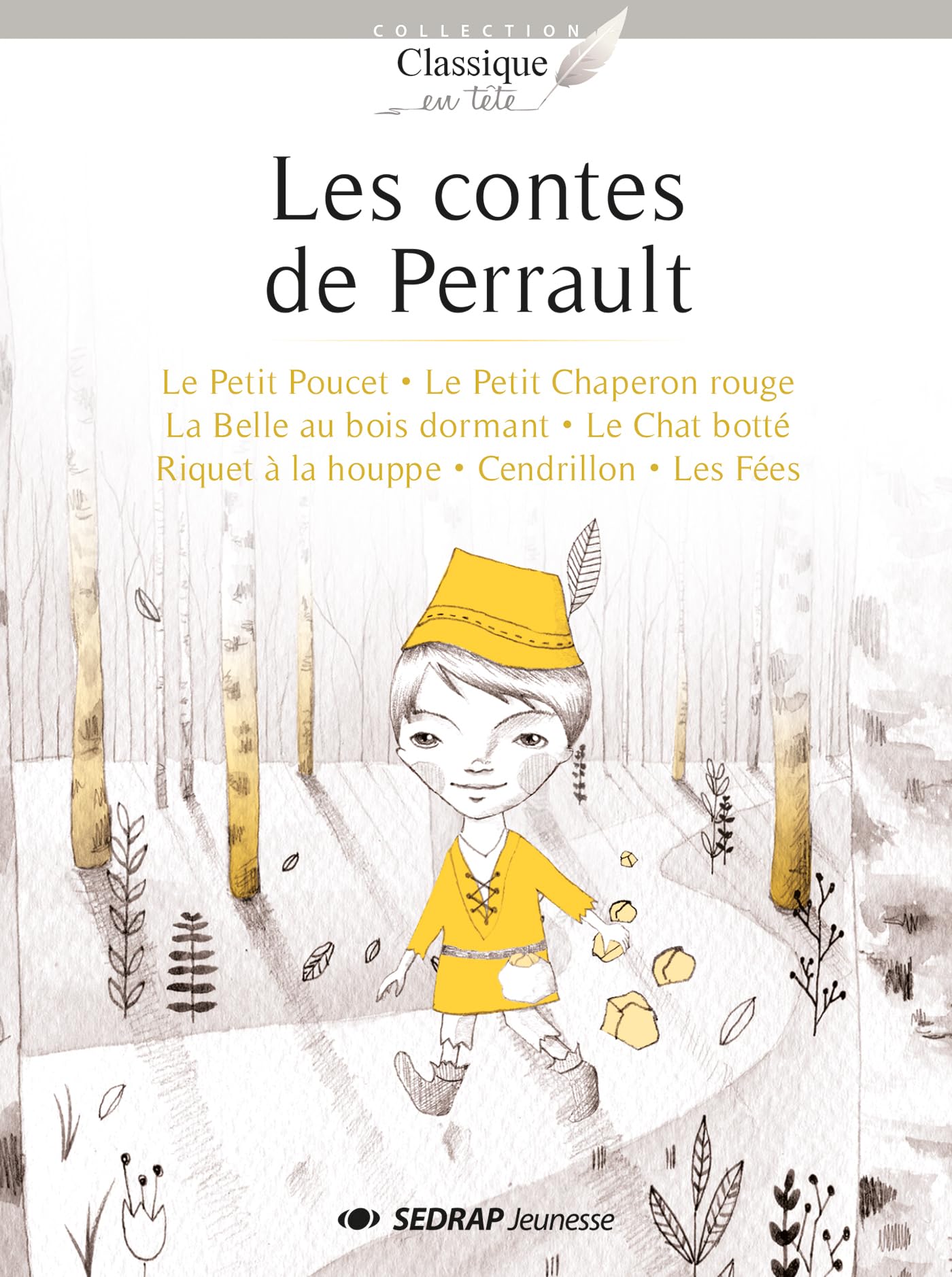 CONTES DE PERRAULT - 15 ROMANS + FICHIER book