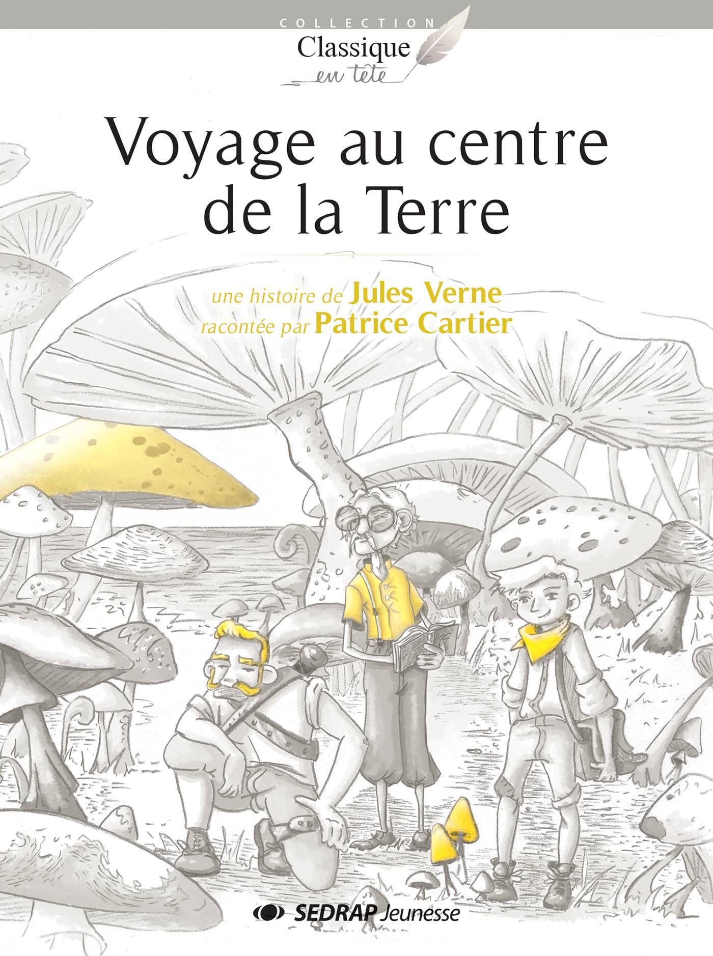 VOYAGE AU CENTRE DE LA TERRE book