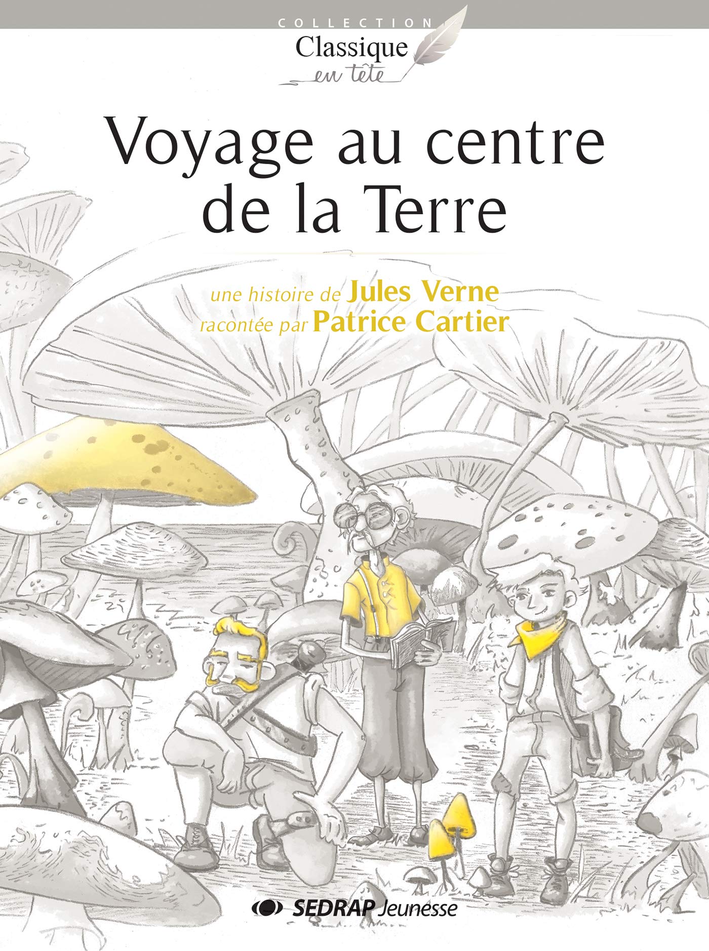 VOYAGE AU CENTRE DE LA TERRE - LOT DE 25 ROMANS + FICHIER book