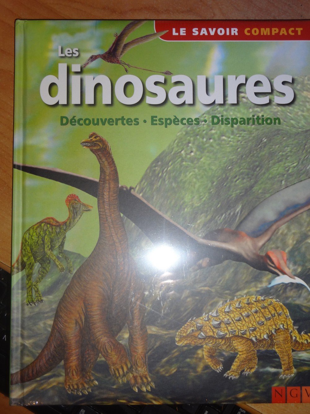Les dinosaures : Découvertes Espèces Disparition book