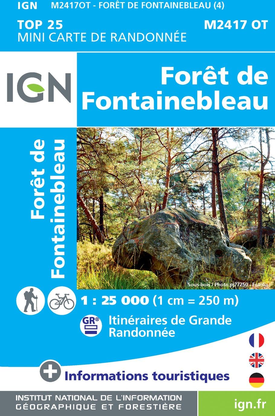 Forêt de Fontainebleau Mini (2417OT) (TOP 25) Leisure, Home & Garden
