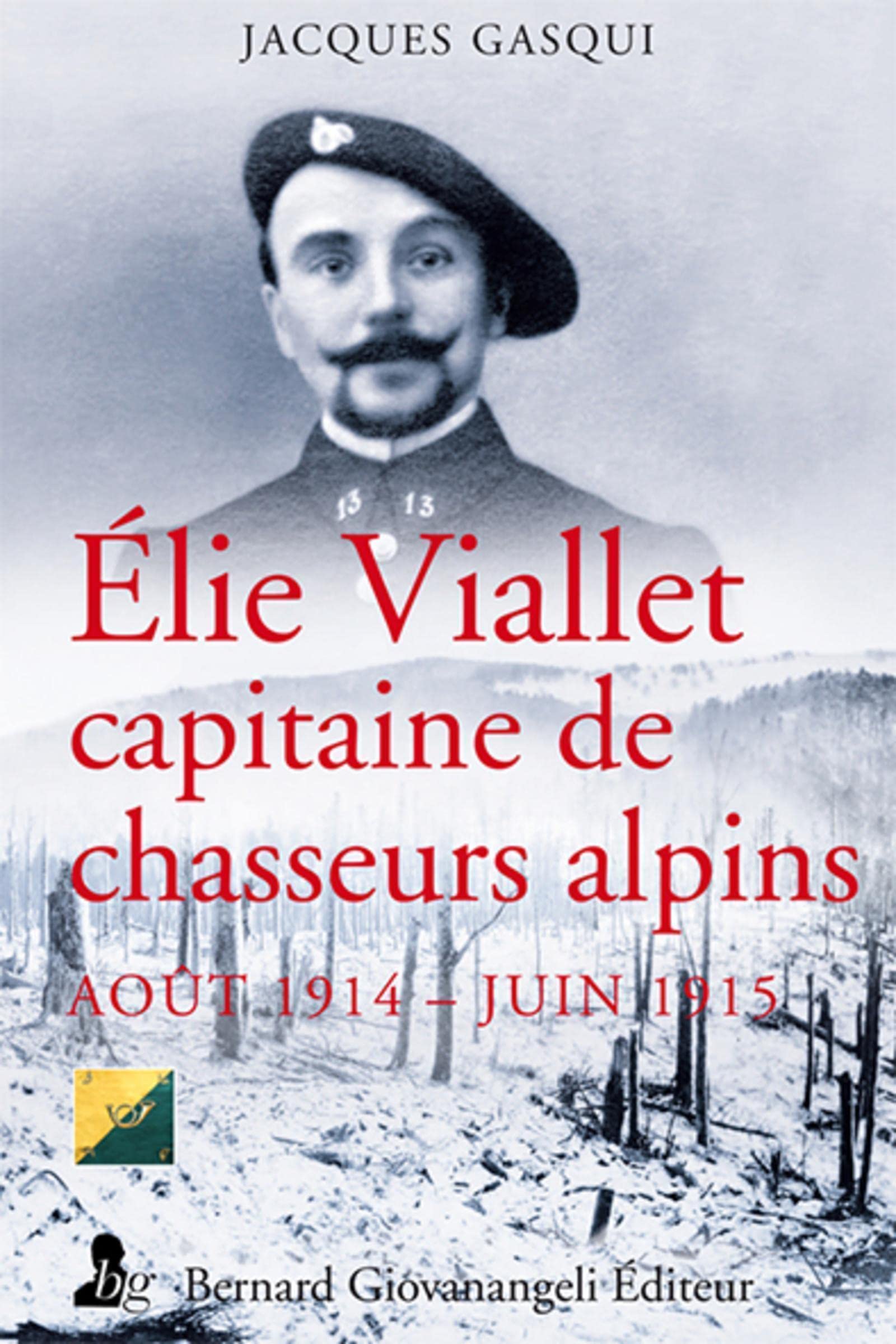 Elie Viallet capitaine de chasseurs alpins: Août 1914 Juin 1915 book