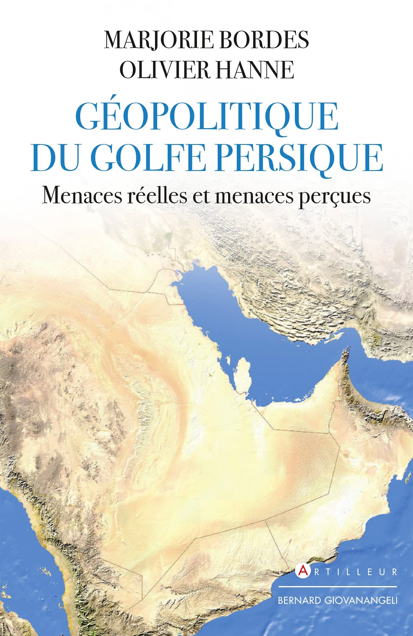 Géopolitique du golfe Persique: Menaces réelles et menaces perçues book