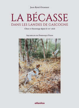 La bécasse dans les landes de Gascogne : chasse et braconnage depuis le XIXe siècle Leisure & Fun