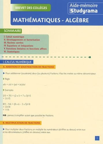 Mathématiques Algèbre brevet des collèges: aide mémoire Professional & Reference Books