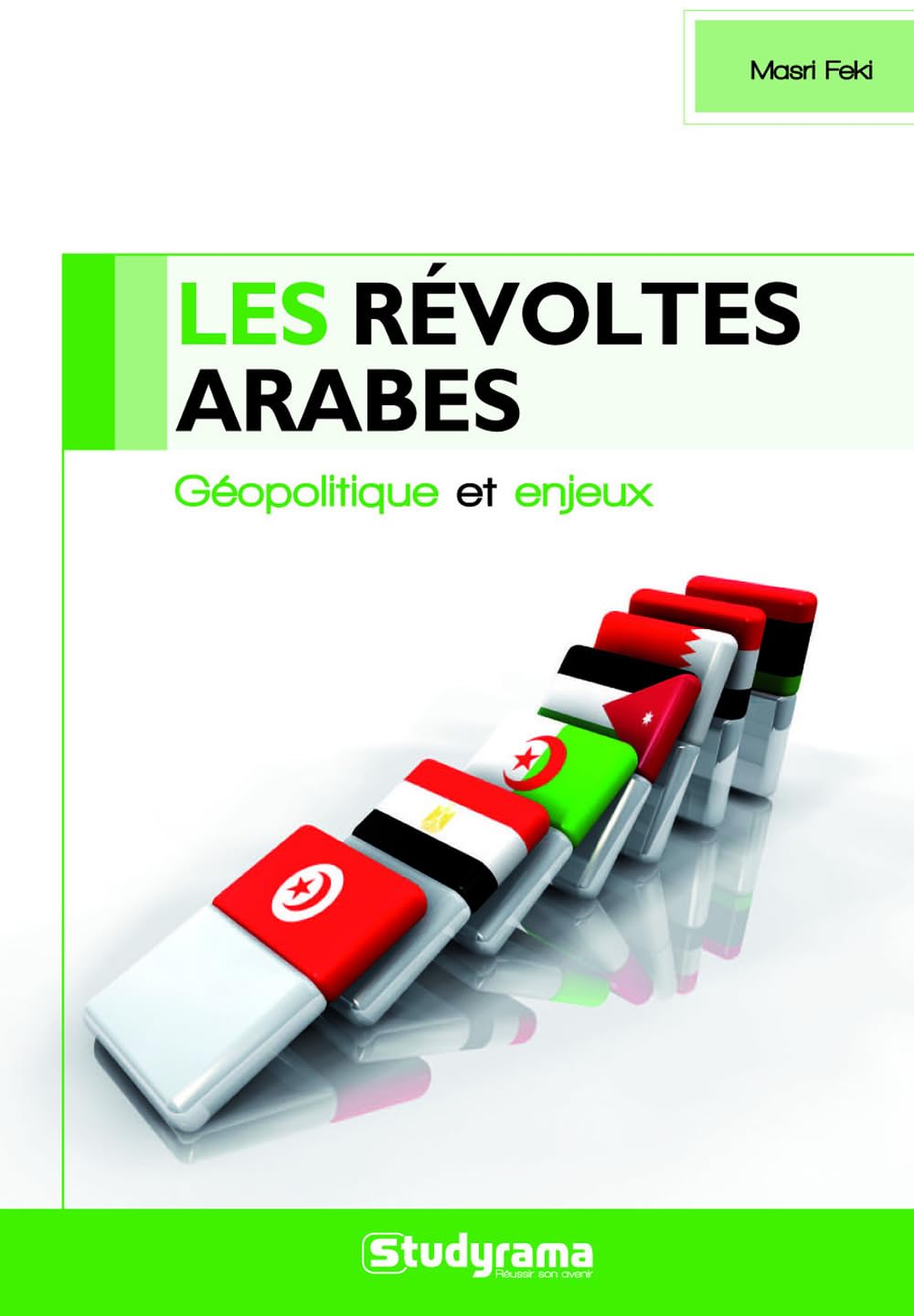 Les révoltes arabes, géopolitiques et enjeux book
