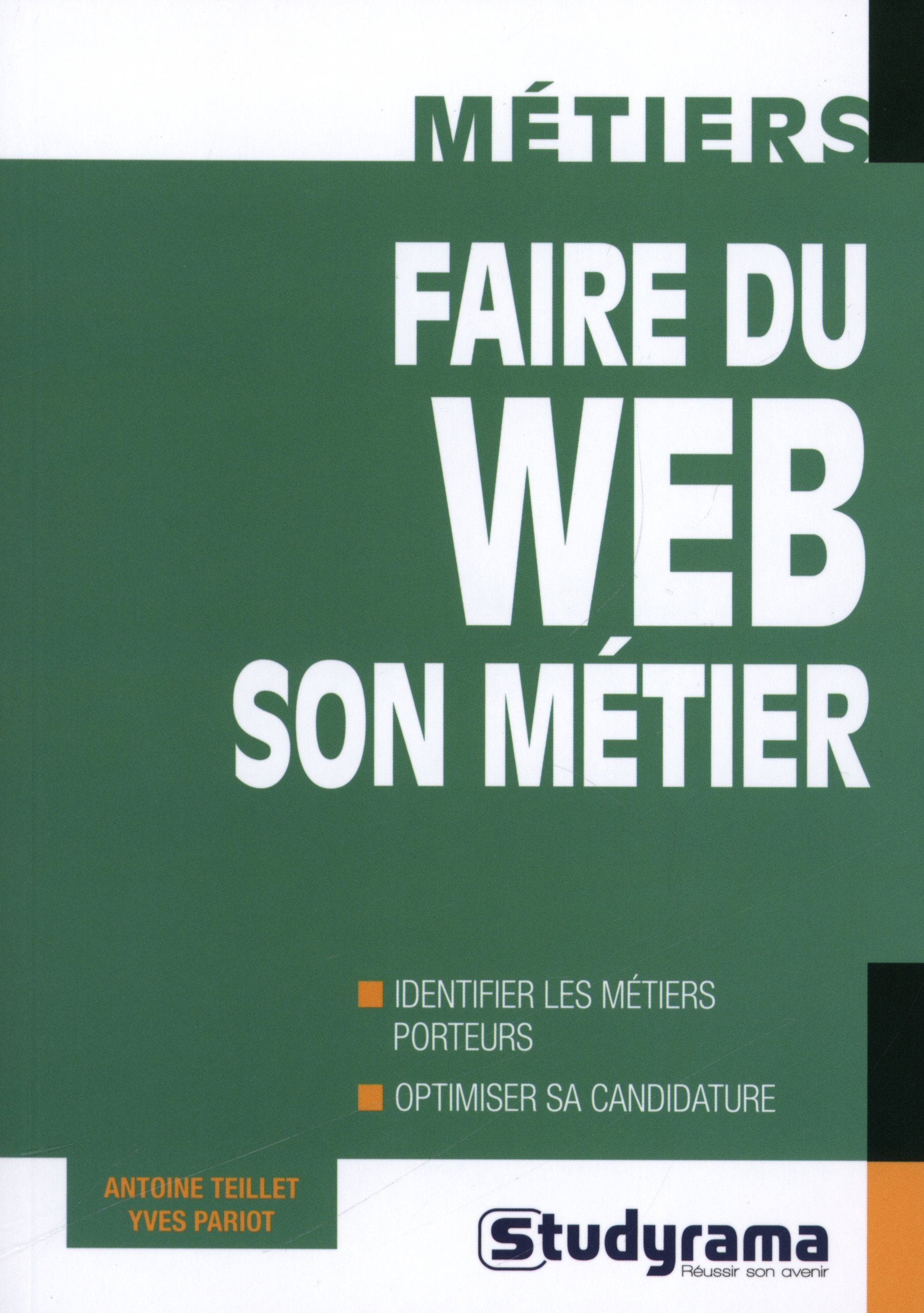 Faire du web son métier: Identifier les métiers porteurs, optimiser sa candidature book