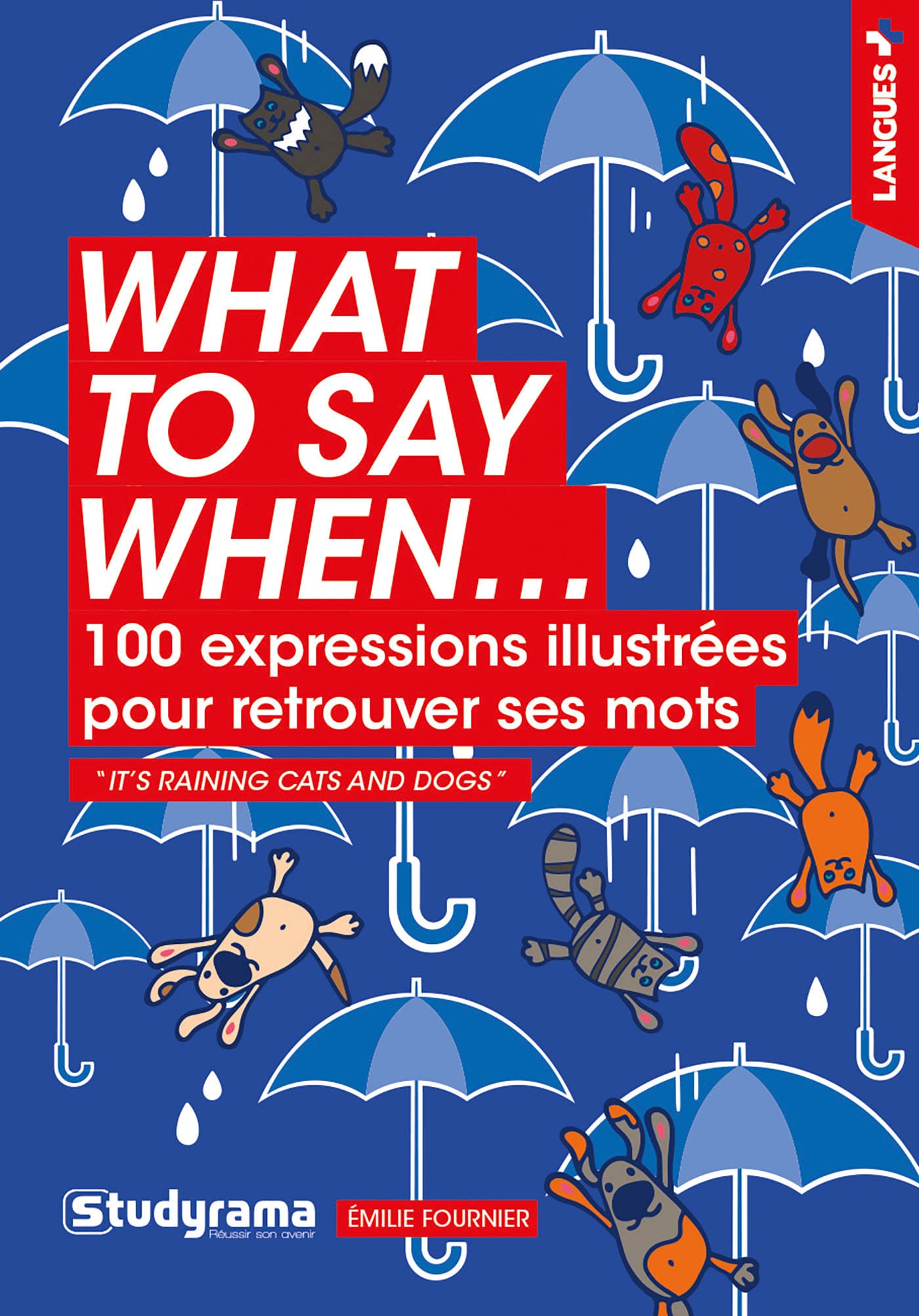 What to say when: 100 expressions illustrées pour retrouver ses mots book