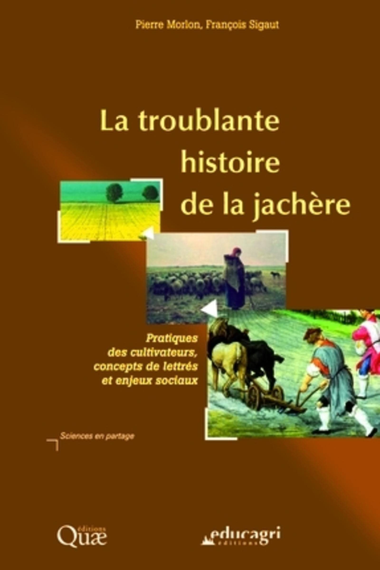 La troublante histoire de la jachère: Pratiques des cultivateurs, concepts de lettrés et enjeux sociaux. book