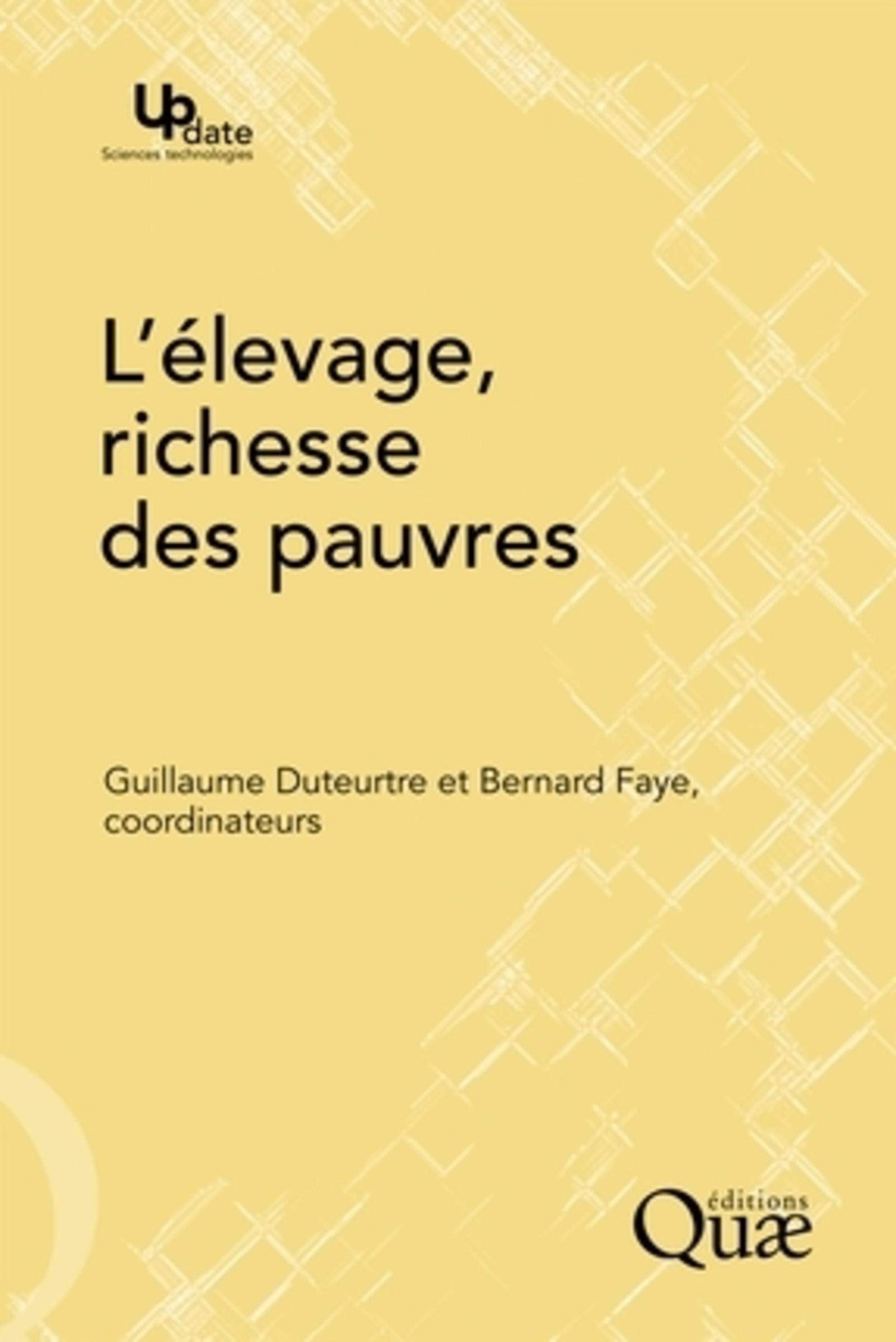 L'élevage, richesse des pauvres: Stratégies d'éleveurs et organisations sociales face aux risques dans les pays du Sud book