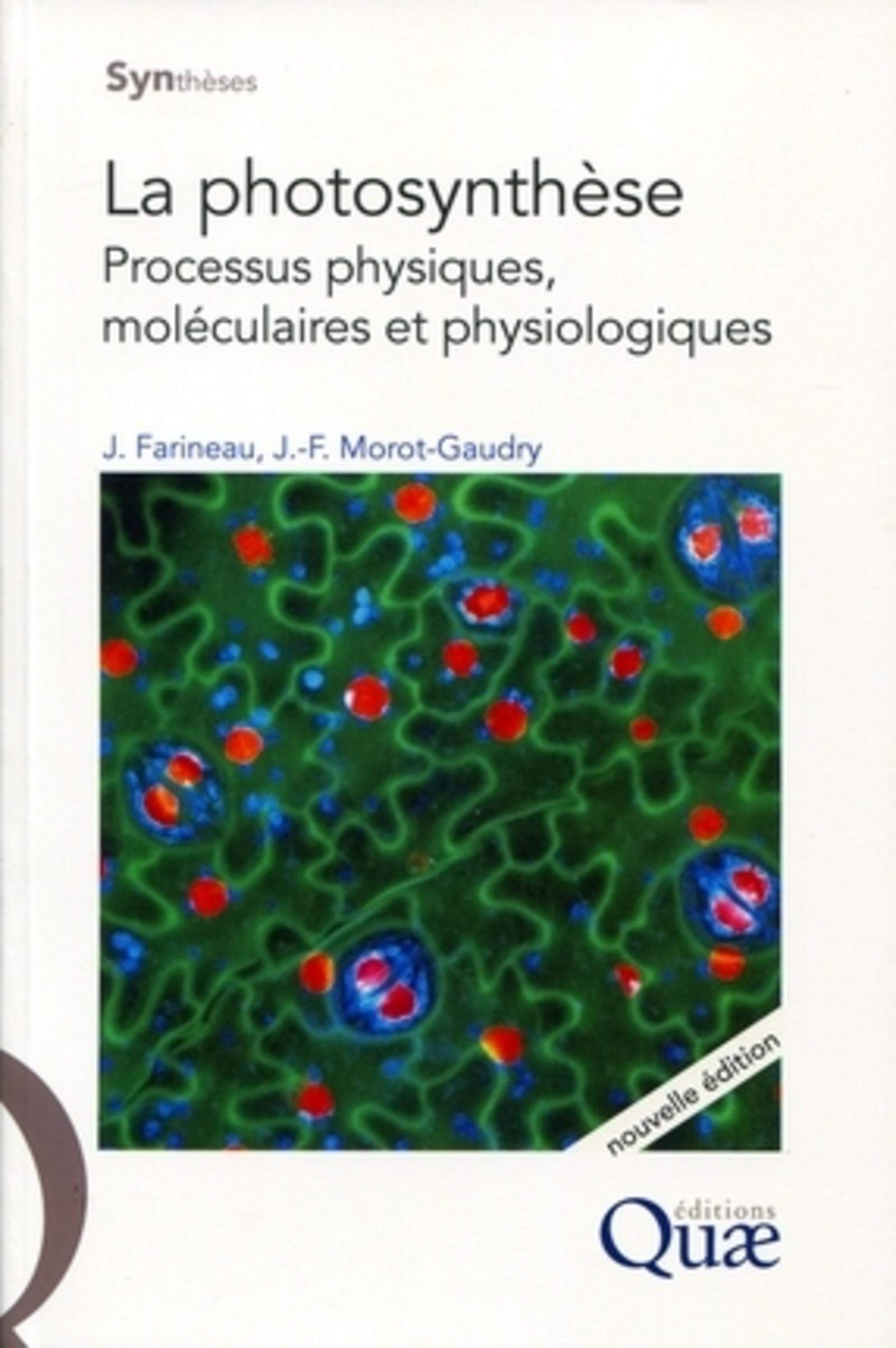 La photosynthèse - Processus physiques, moléculaires et physiologiques book