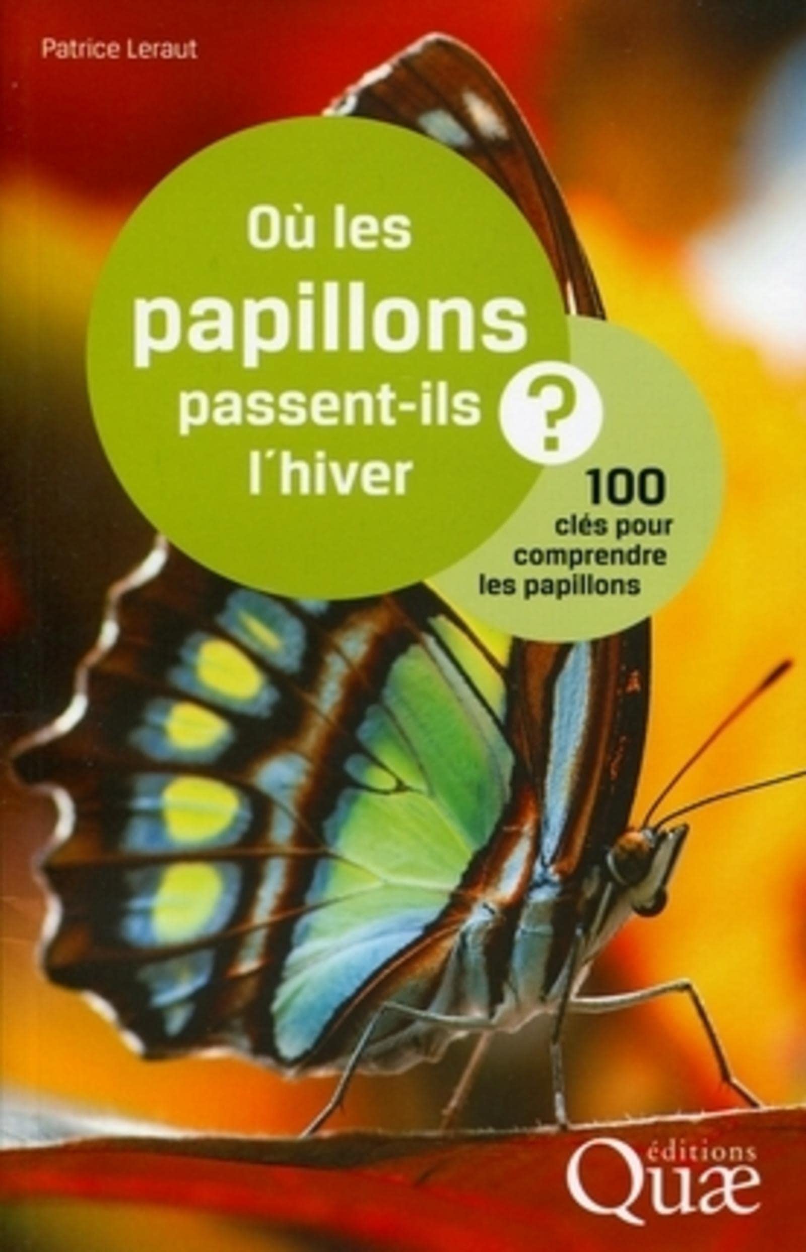 Où les papillons passent-ils l'hiver ?: 100 clés pour comprendre les papillons. book