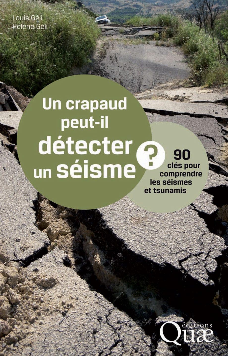 Un crapaud peut-il détecter un séisme ?: 90 clés pour comprendre les séismes et tsunamis. Business & Technology