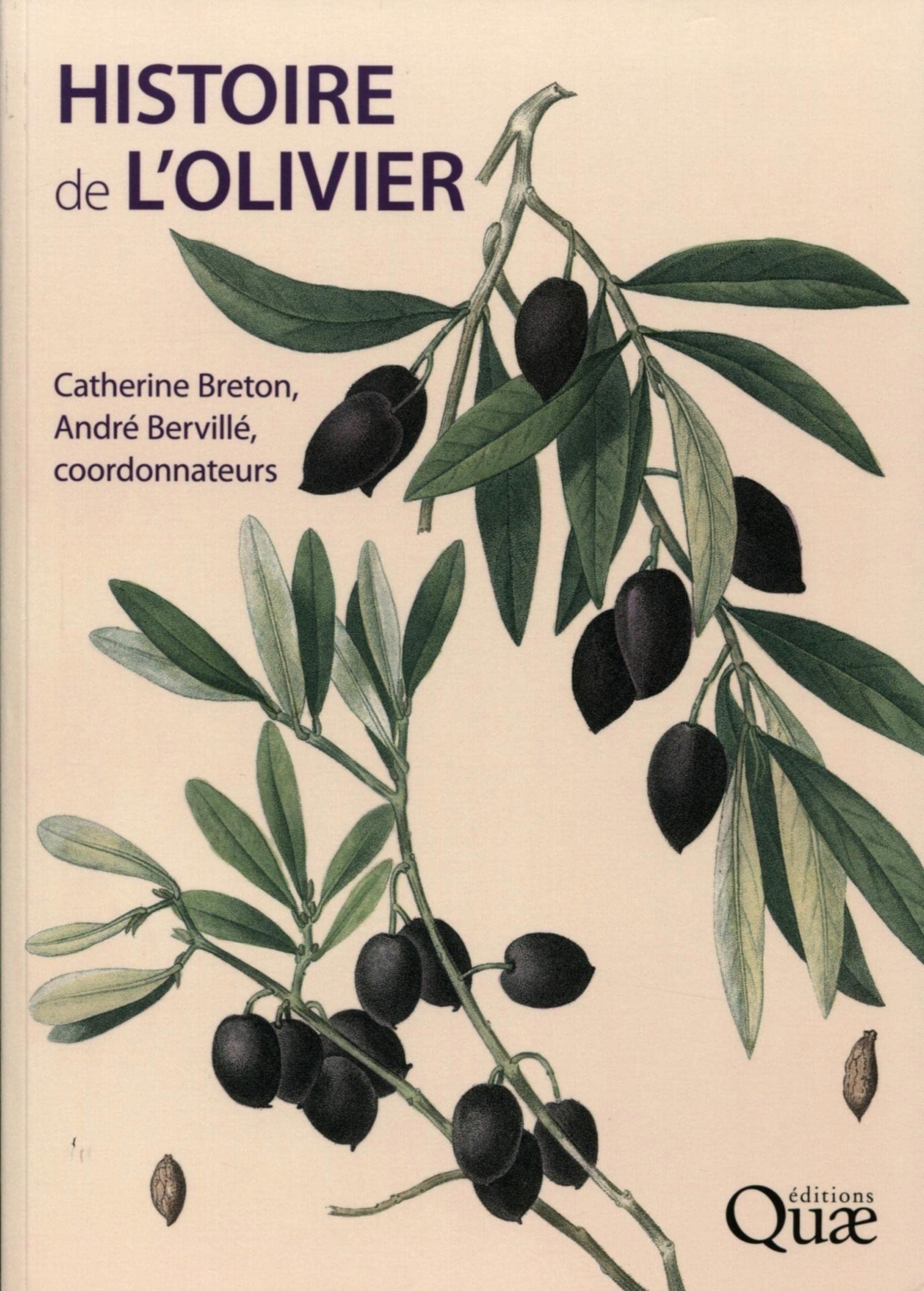 Histoire de l'olivier: L'arbre des temps Leisure, Home & Garden