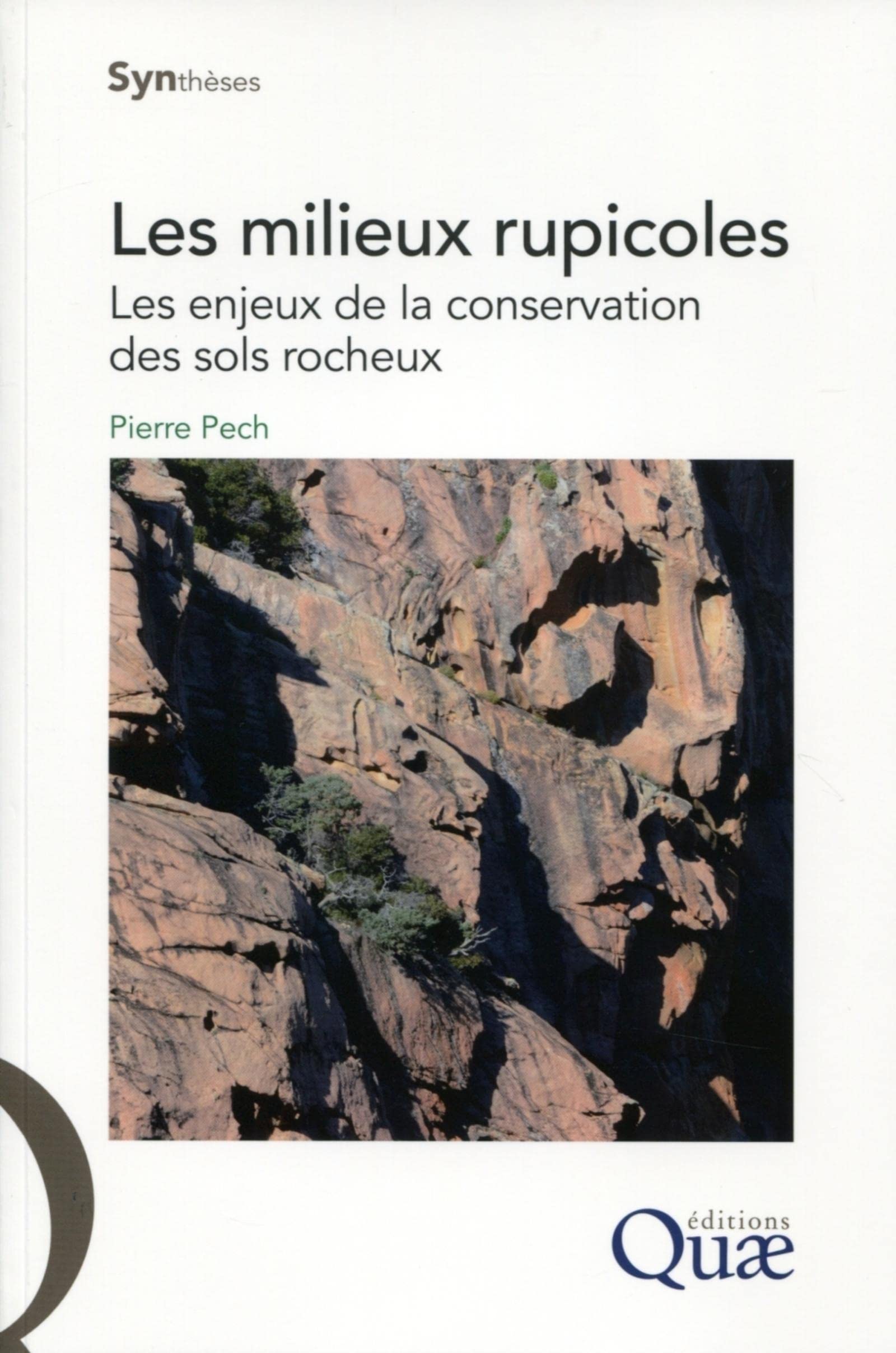 Les milieux rupicoles. Les enjeux de la conservation des sols rocheux. book