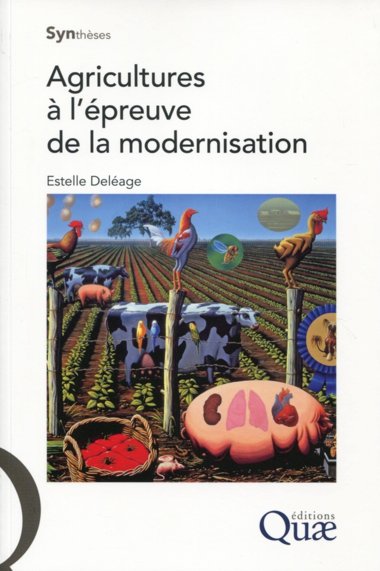 Agricultures à l'épreuve de la modernisation Business, Finance & Career