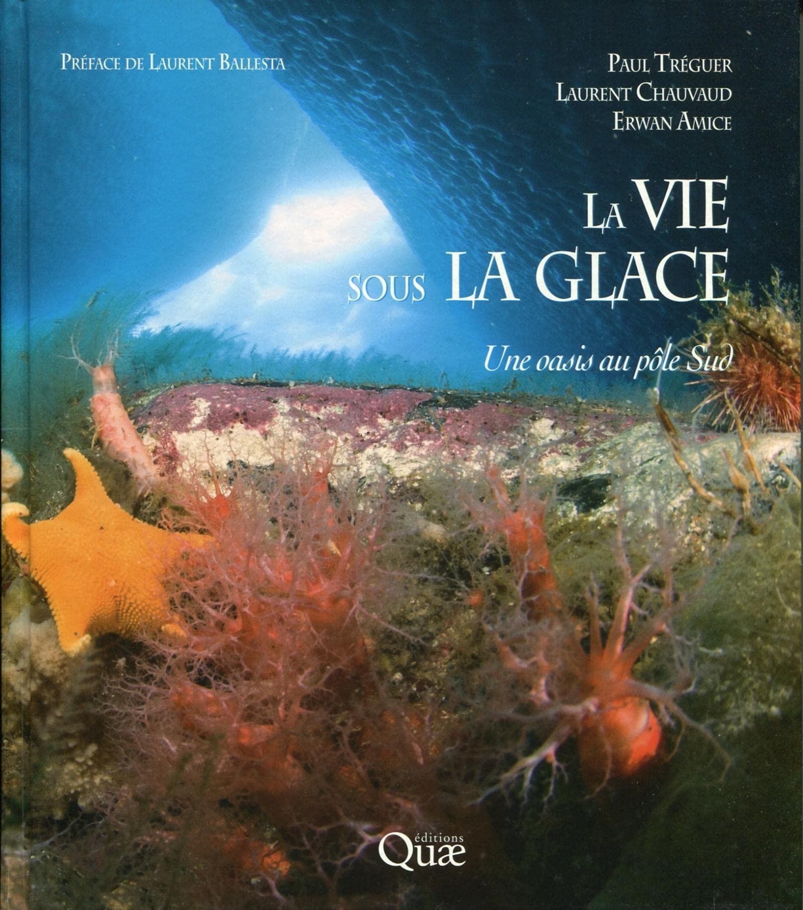 La vie sous la glace: Une oasis au pôle Sud. Film, Art & Culture