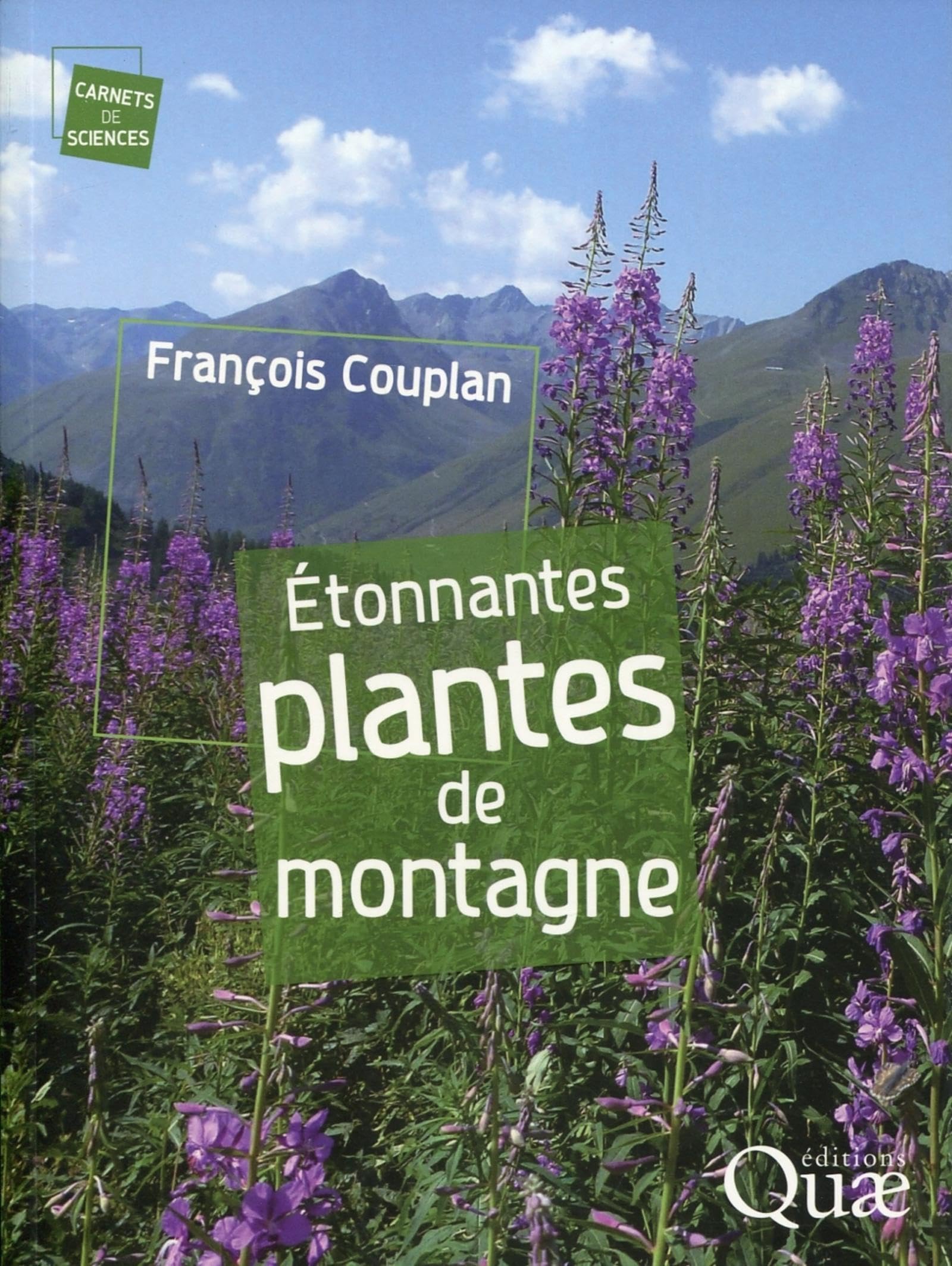 Étonnantes plantes de montagne Leisure, Home & Garden