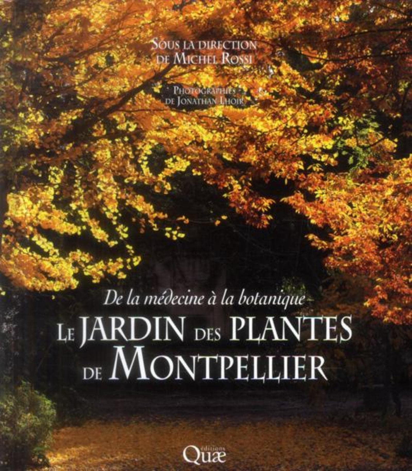 Le jardin des plantes de Montpellier: De la médecine à la botanique. Leisure, Home & Garden