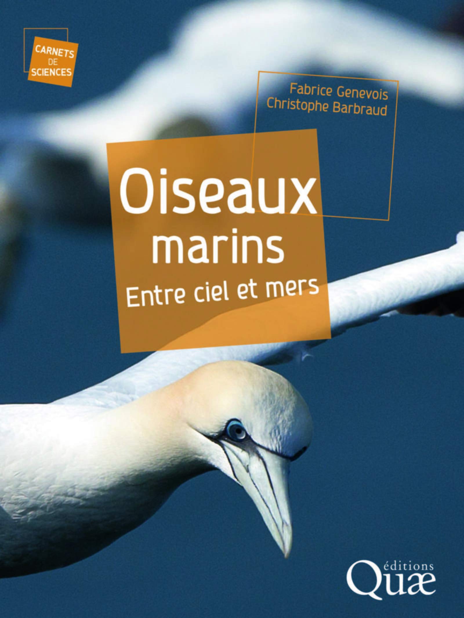 Oiseaux marins: Entre ciels et mers book