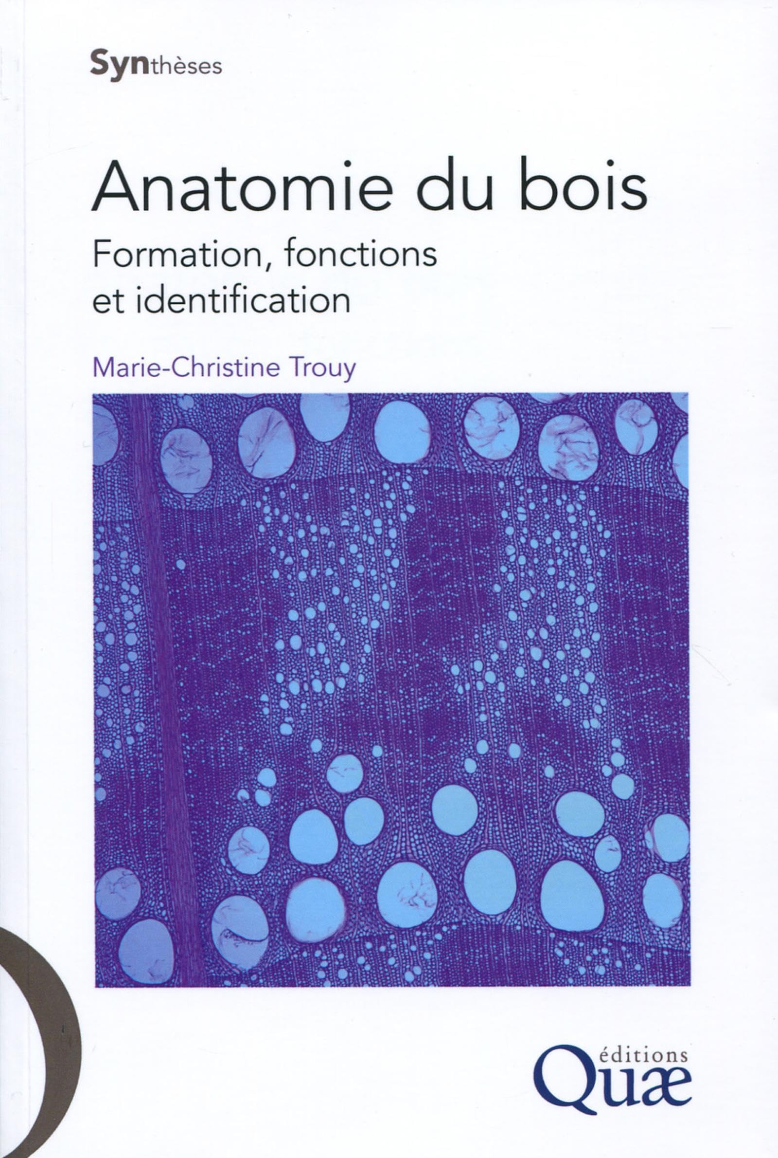Anatomie du bois: Formation, fonctions et identification. Business & Technology