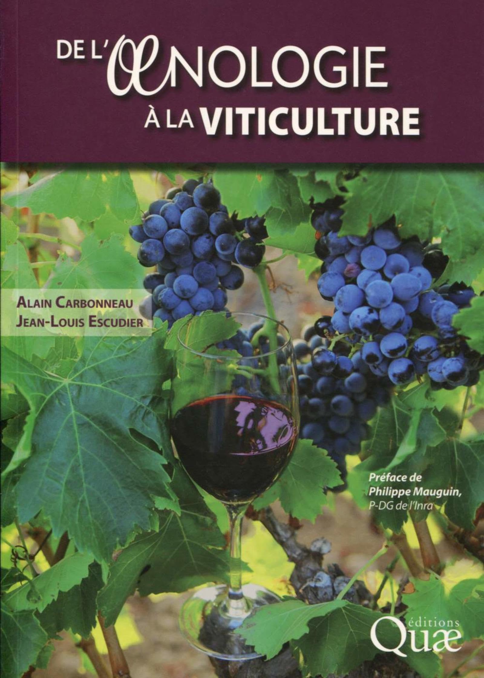 De l'oenologie à la viticulture Leisure, Home & Garden