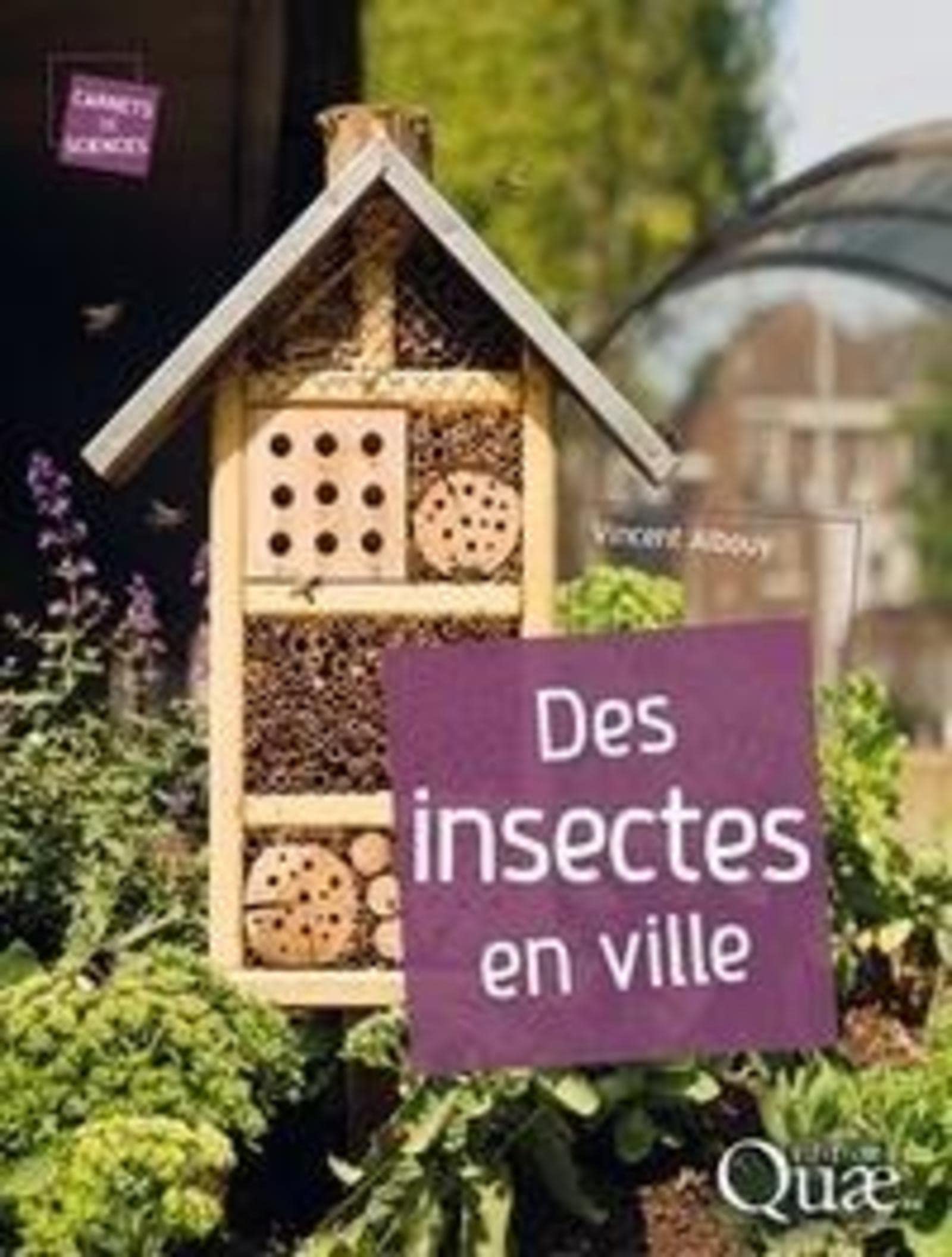 Des insectes en ville book