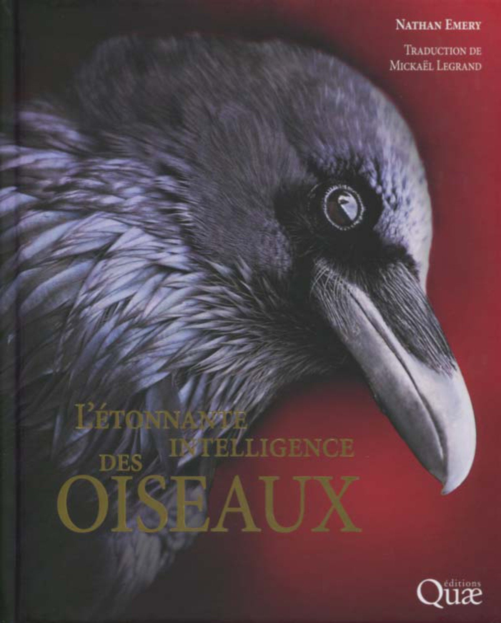 L'étonnante intelligence des oiseaux: Préface de Frans de Waal book