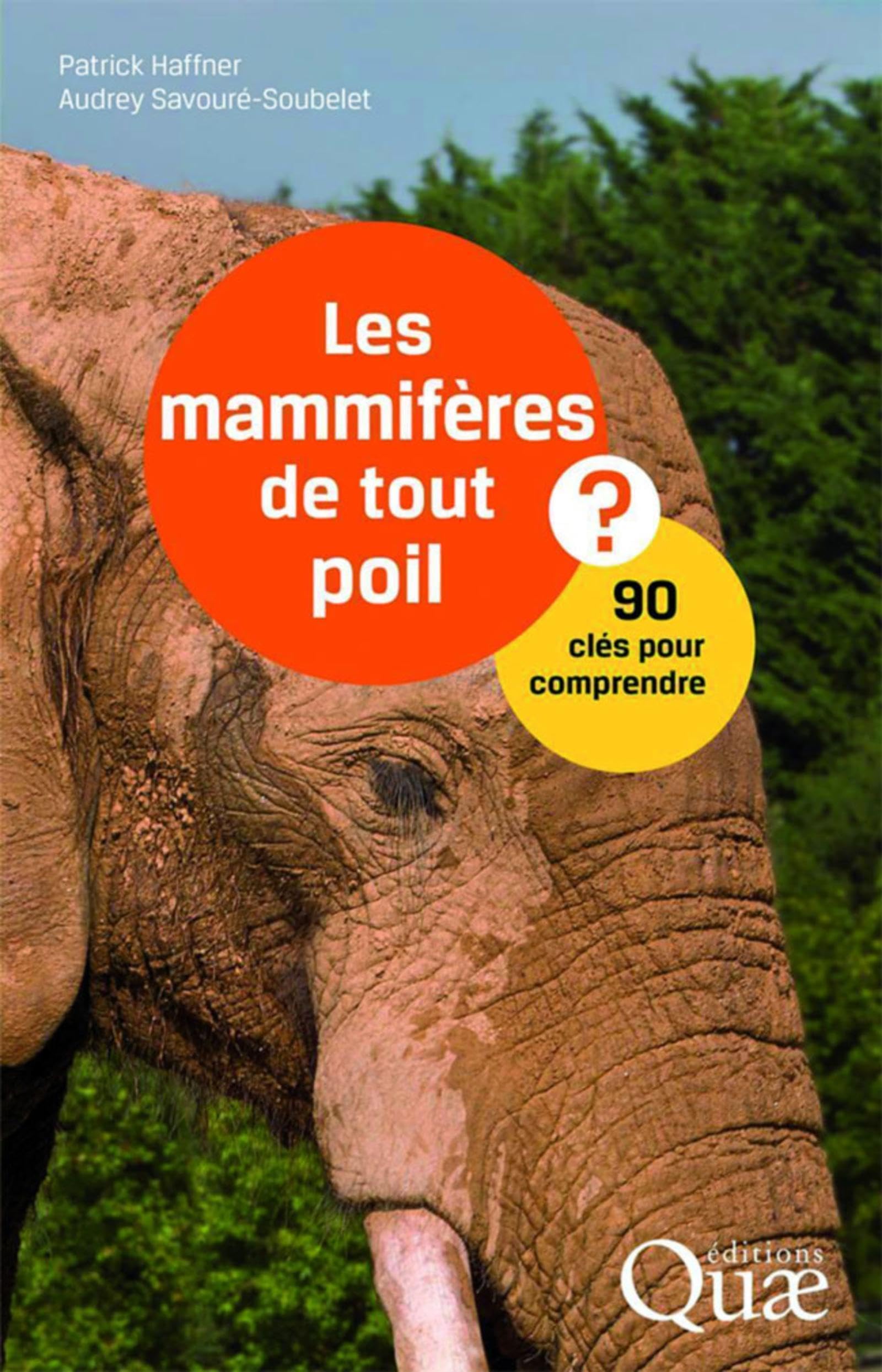 Les mammifères de tout poil: 90 clés pour comprendre book