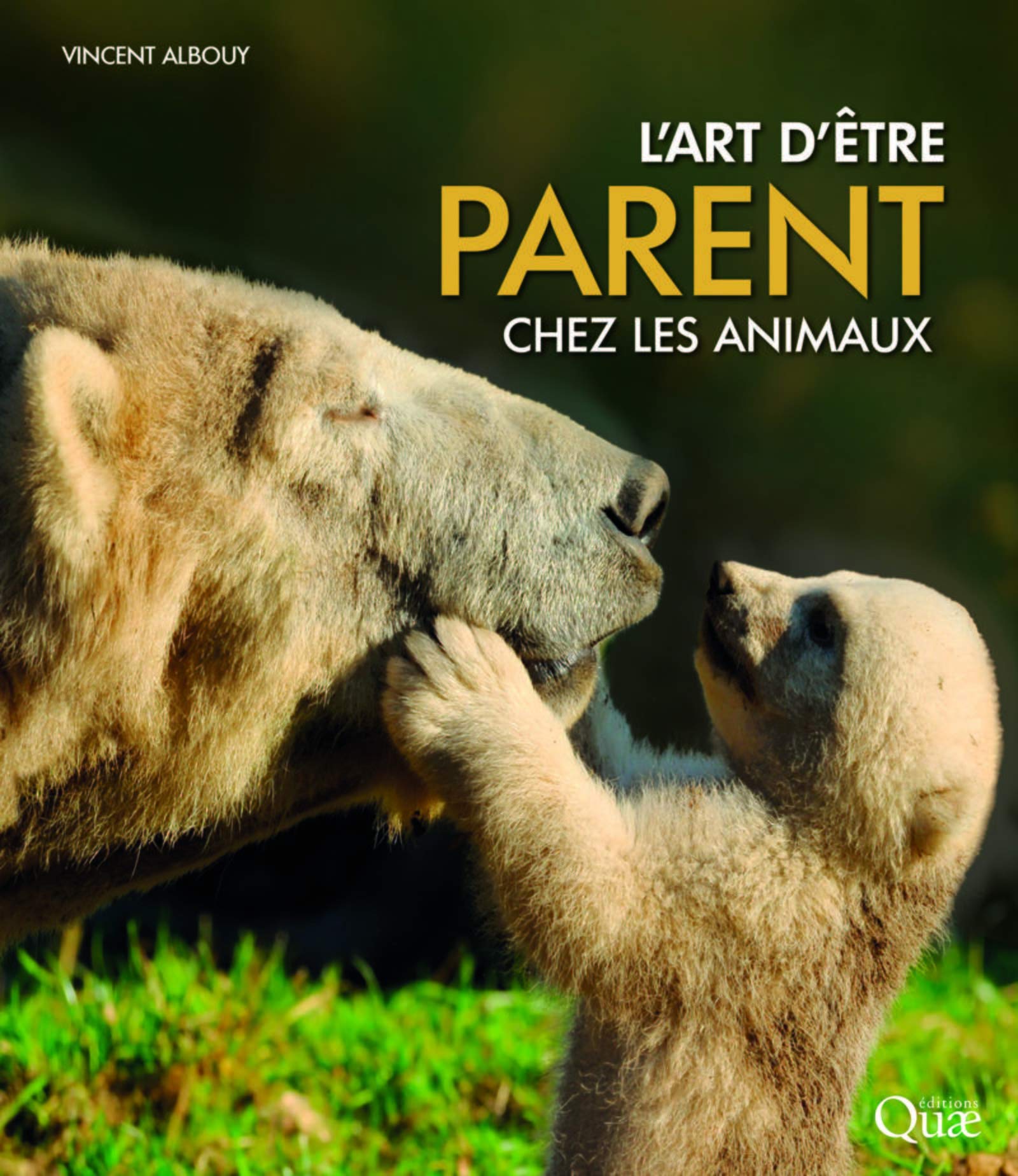 L'art d'être parent chez les animaux Film, Art & Culture