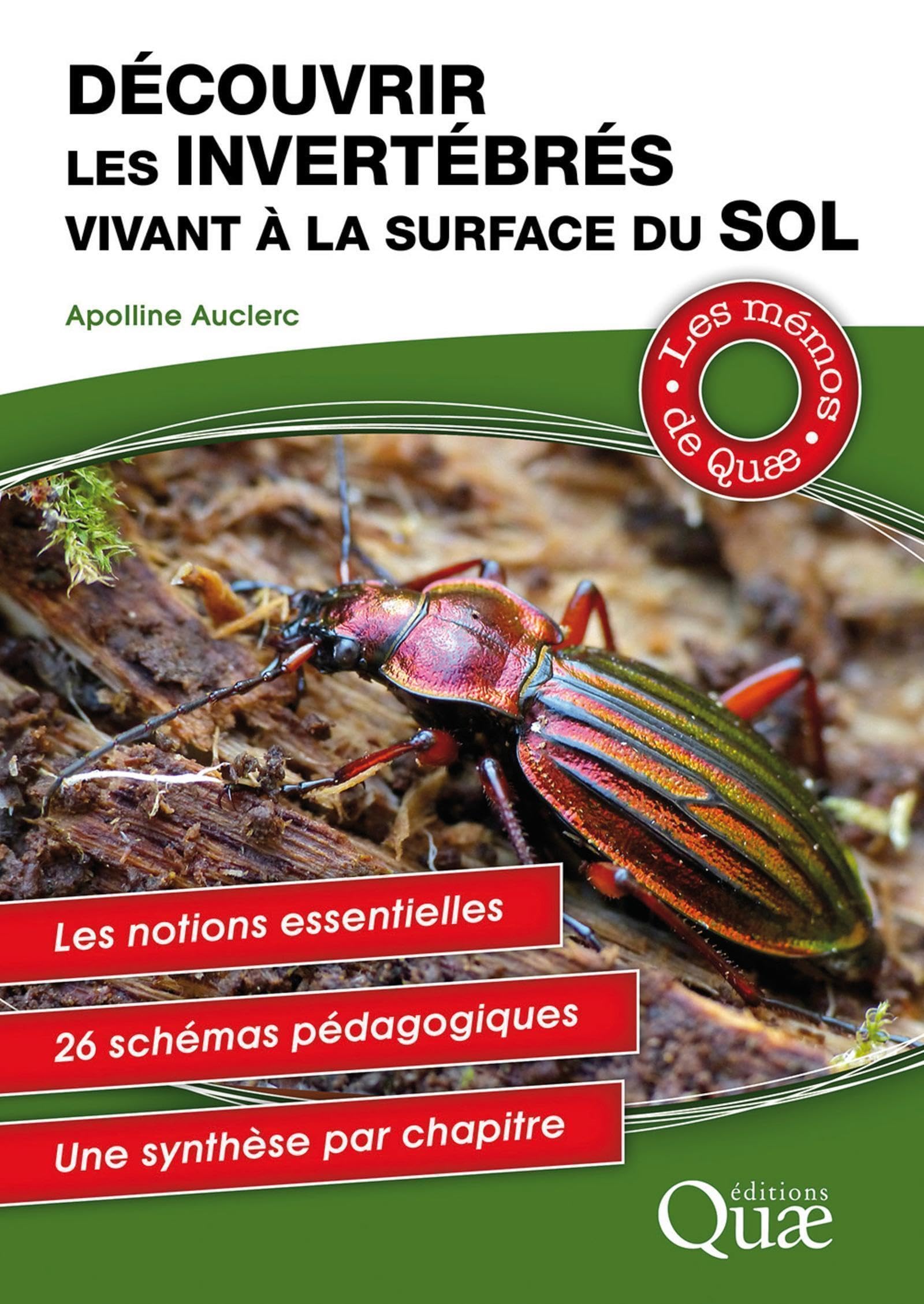 Découvrir les invertébrés vivant à la surface du sol: Une méthode pdagogique. 25 portraits illustrés d'invertébrés. Des schémas synthétiques book
