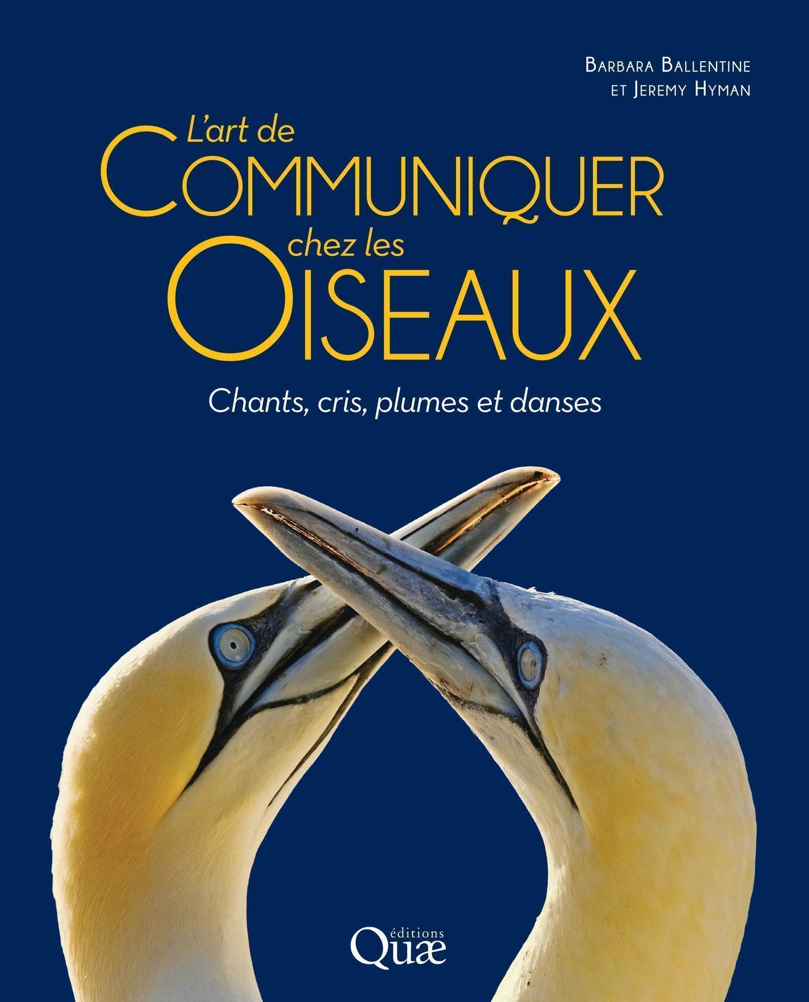 L'art de communiquer chez les oiseaux: Chants, cris, plumes et danses Film, Art & Culture