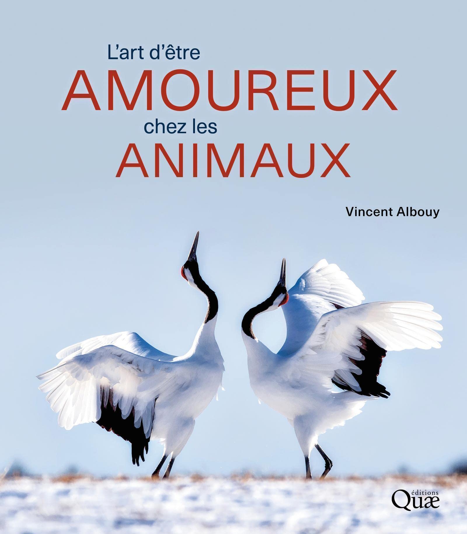 L'art d'être amoureux chez les animaux Film, Art & Culture