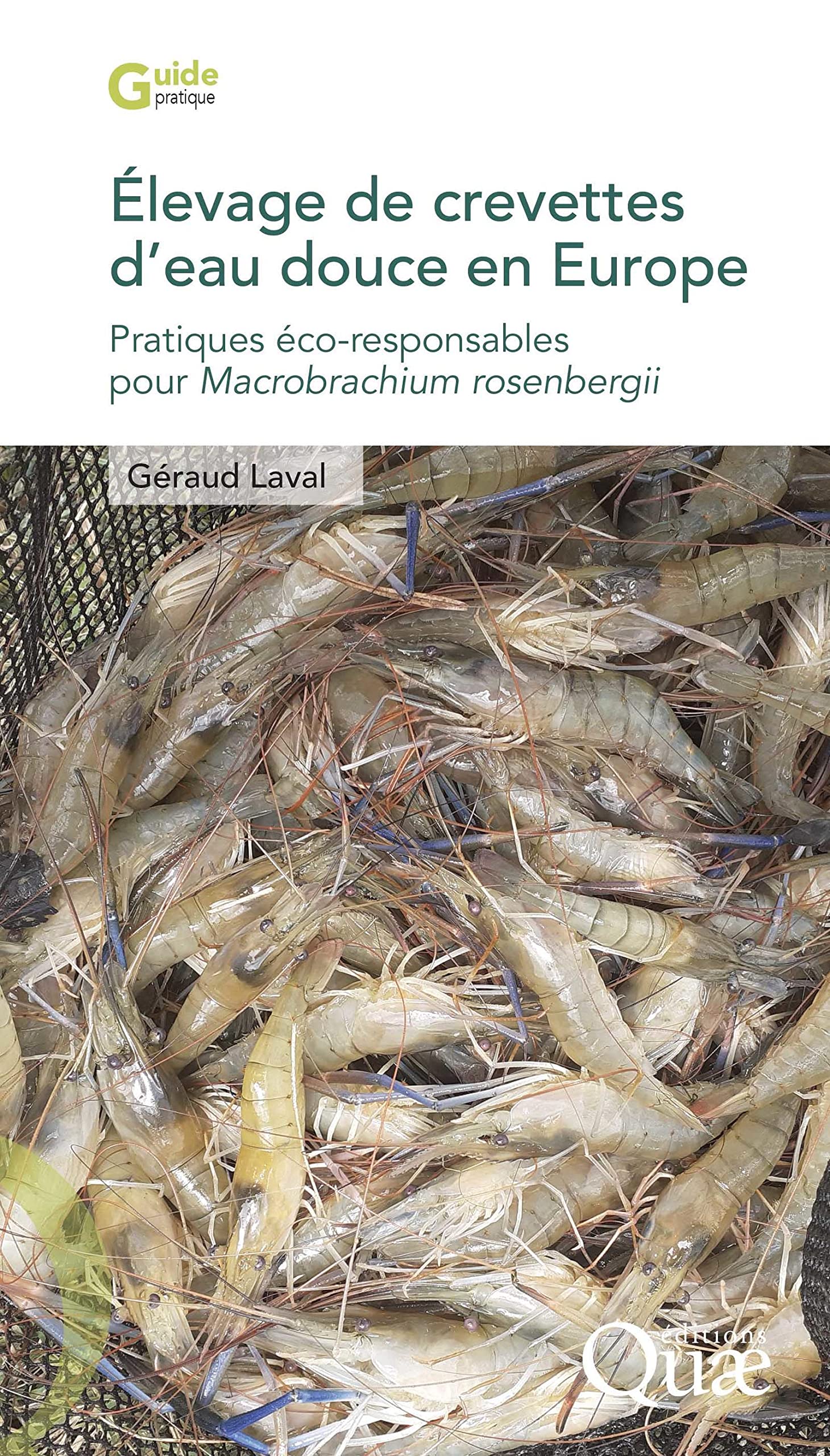 Élevage de crevettes d'eau douce en Europe: Pratiques éco-responsables pour Macrobrachium rosenbergii book