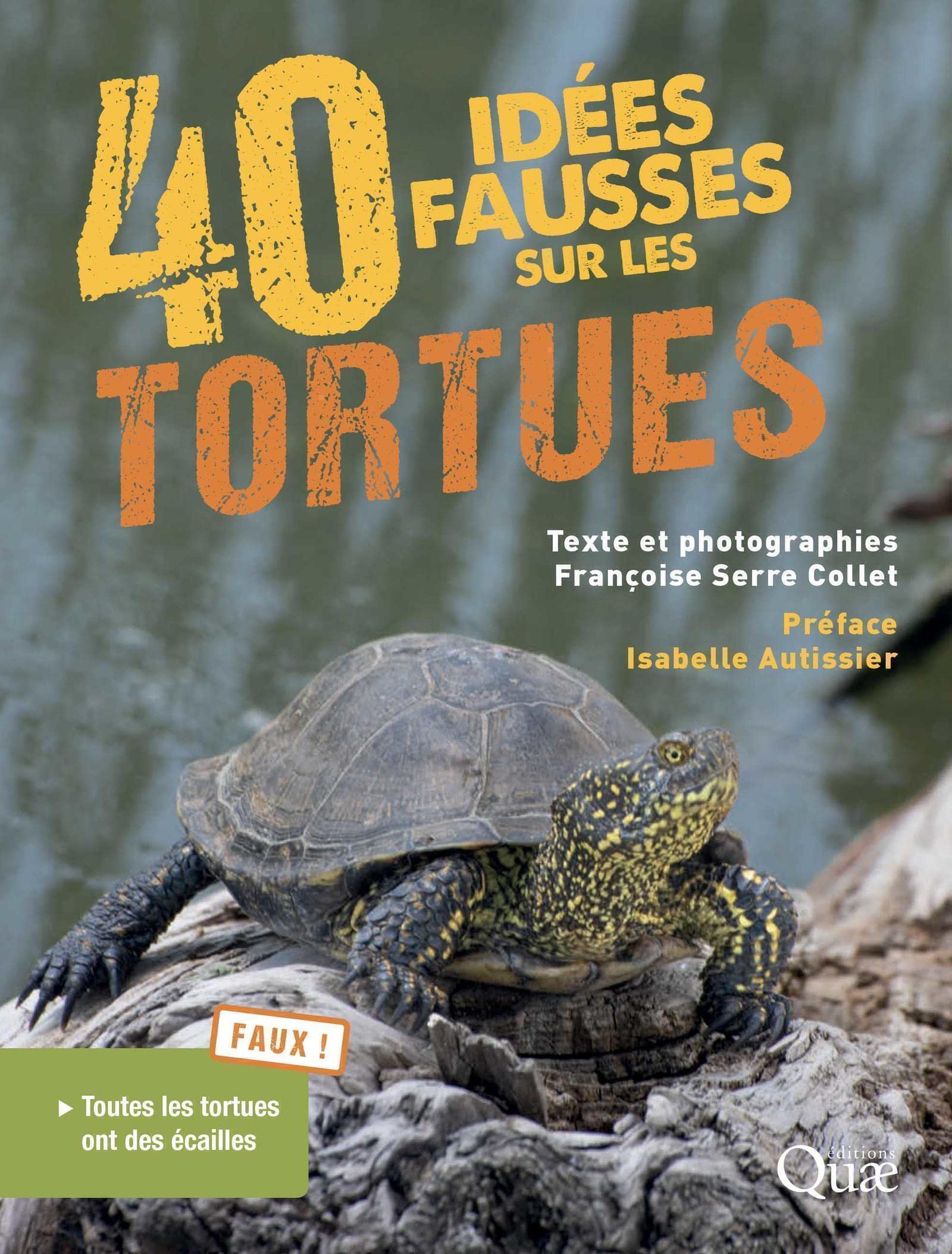 40 idées fausses sur les tortues book