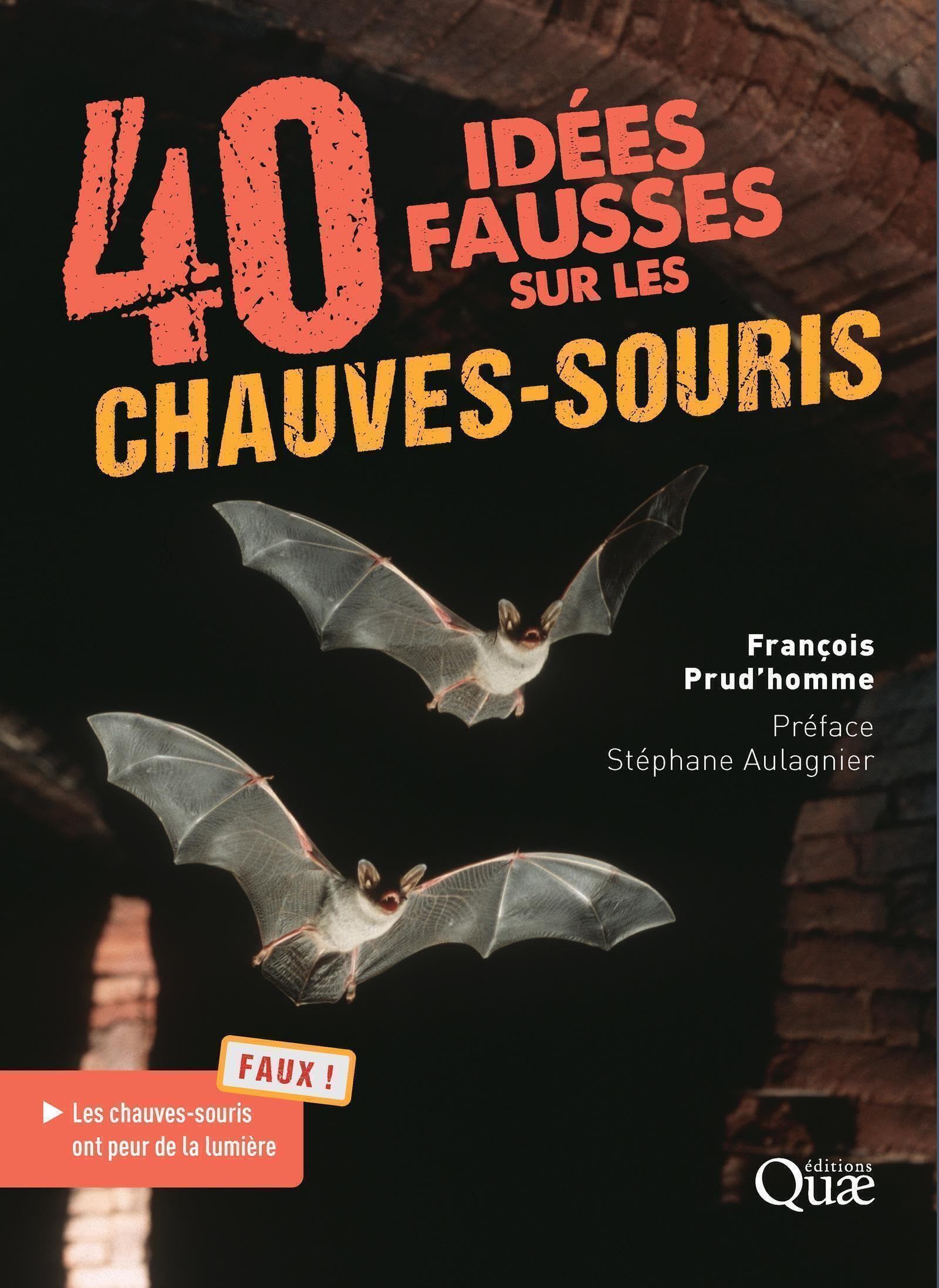40 idées fausses sur les chauves-souris book