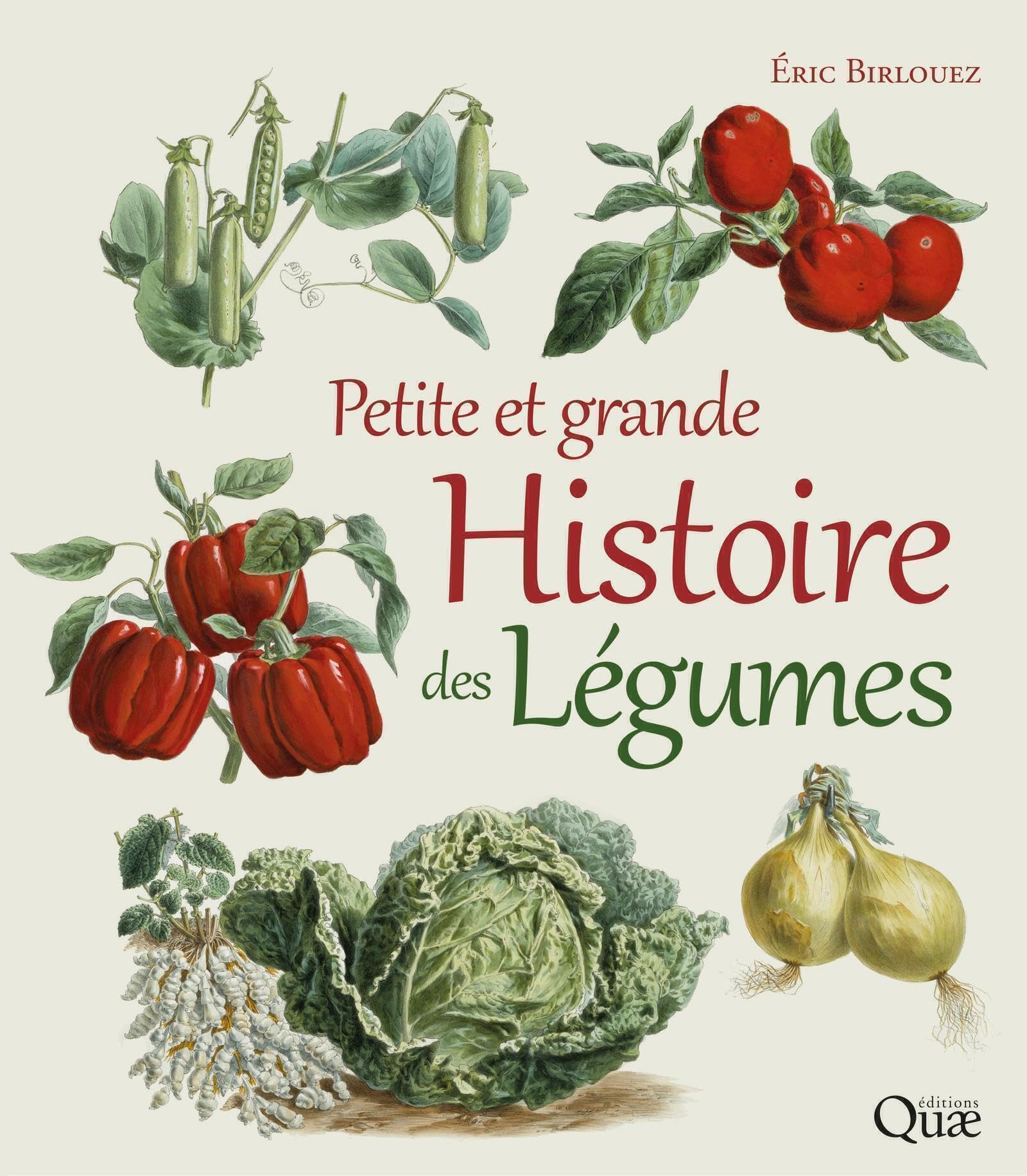 Petite et grande histoire des légumes Film, Art & Culture