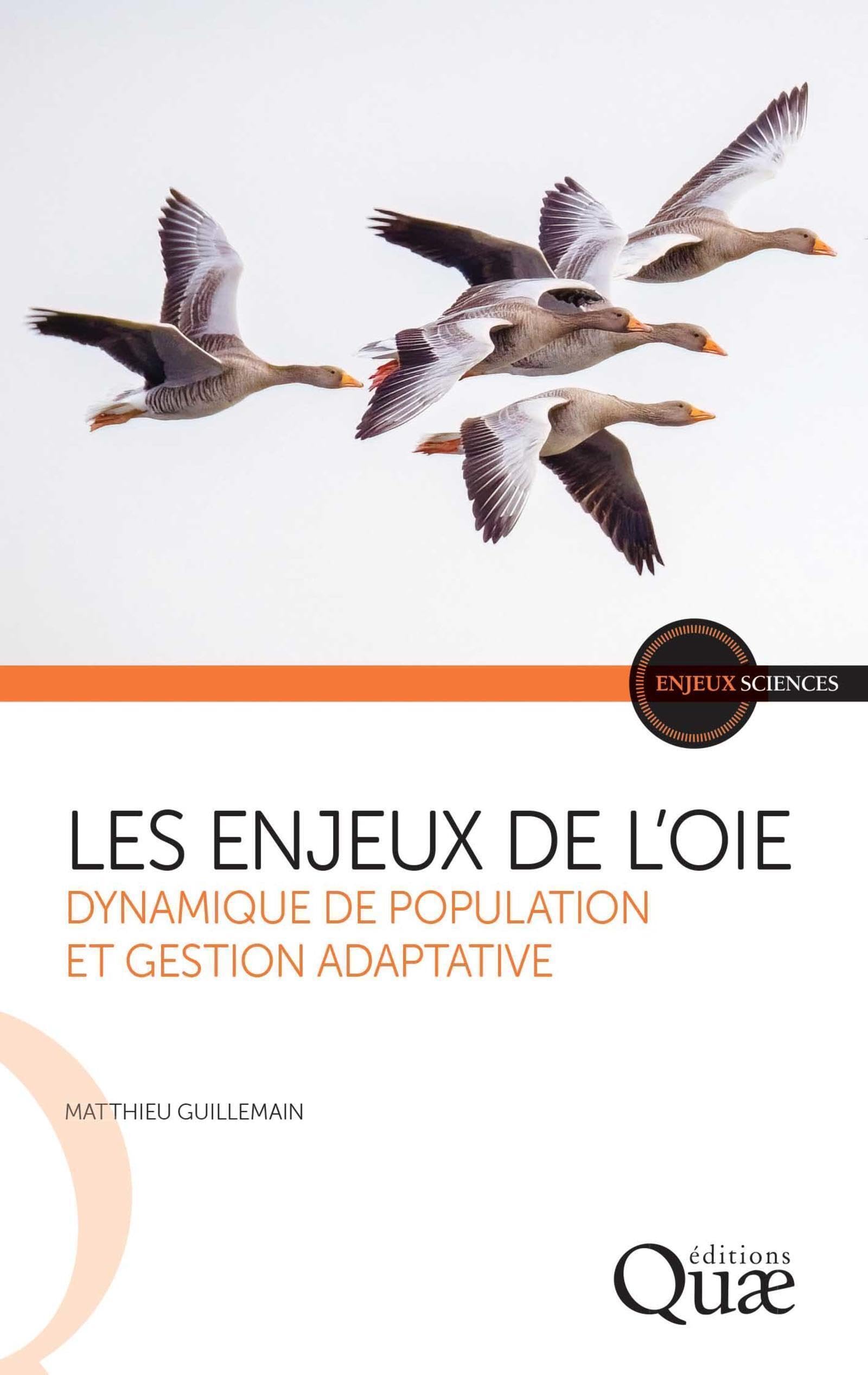 Les enjeux de l'oie: Dynamique de population et gestion adaptative Essays & Short Stories