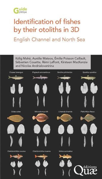 Identification of fishes by their otoliths in 3D : English channel and North sea book