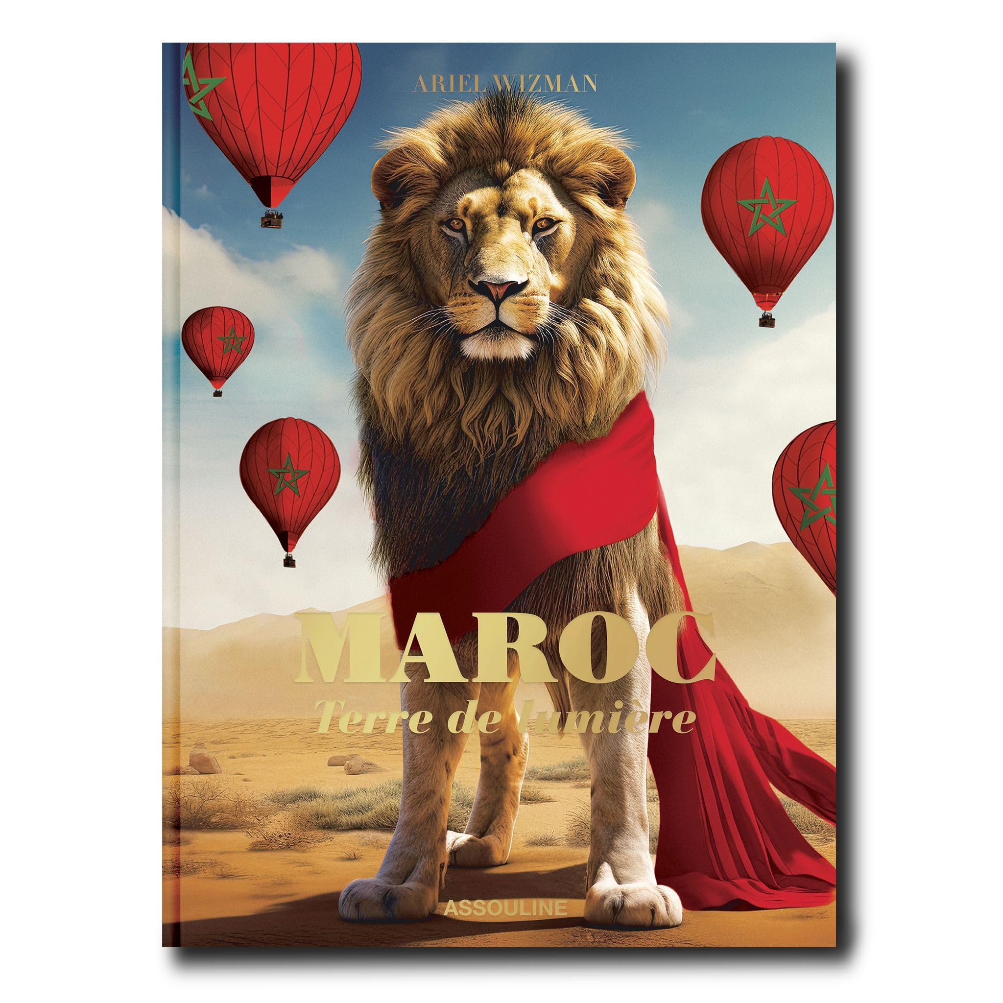 Maroc (edition en francais) - terre de lumiere book