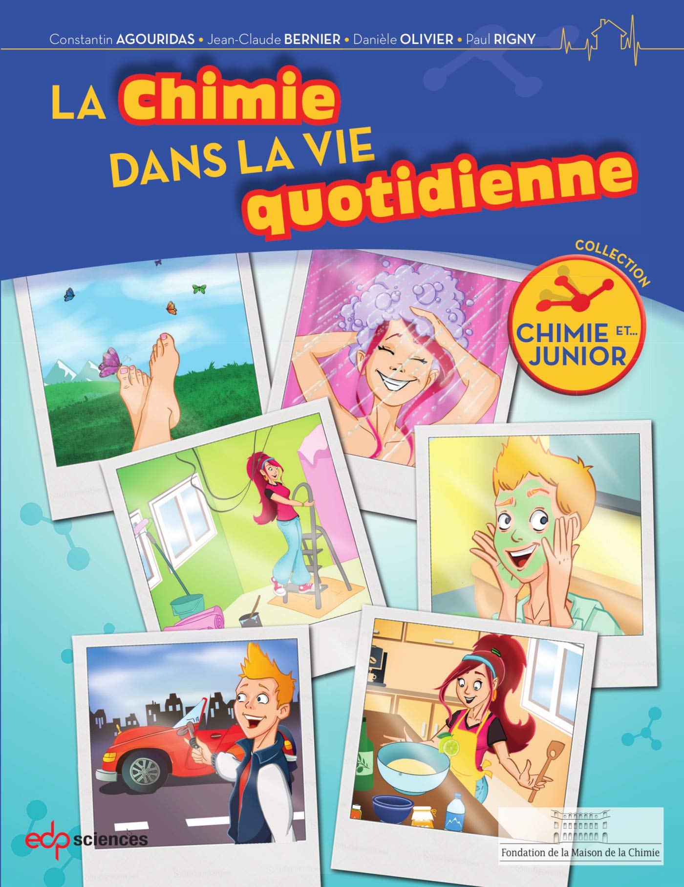 La chimie dans la vie quotidienne: La formidable histoire de l'humanité Natural Sciences