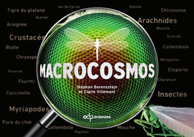 Product Image: Macrocosmos
