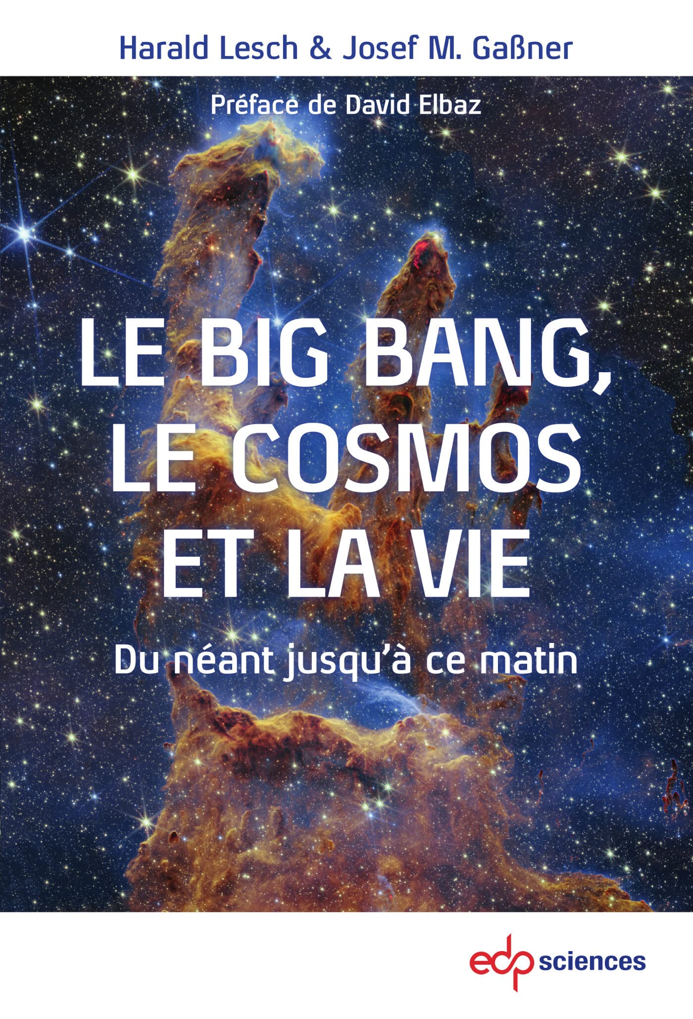 Le Big Bang, le cosmos et la vie: Du néant jusqu'à ce matin Natural Sciences
