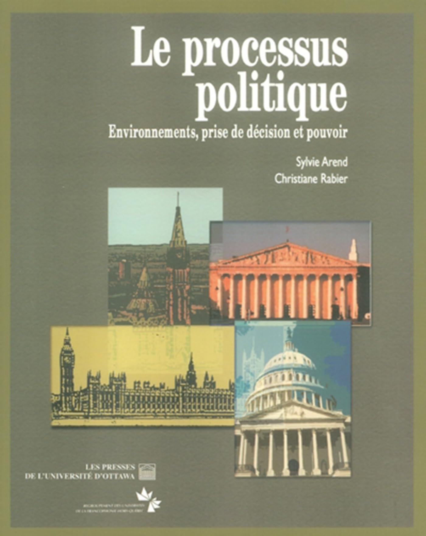 Le Processus politique: Environnements, prise de décision et pouvoir book