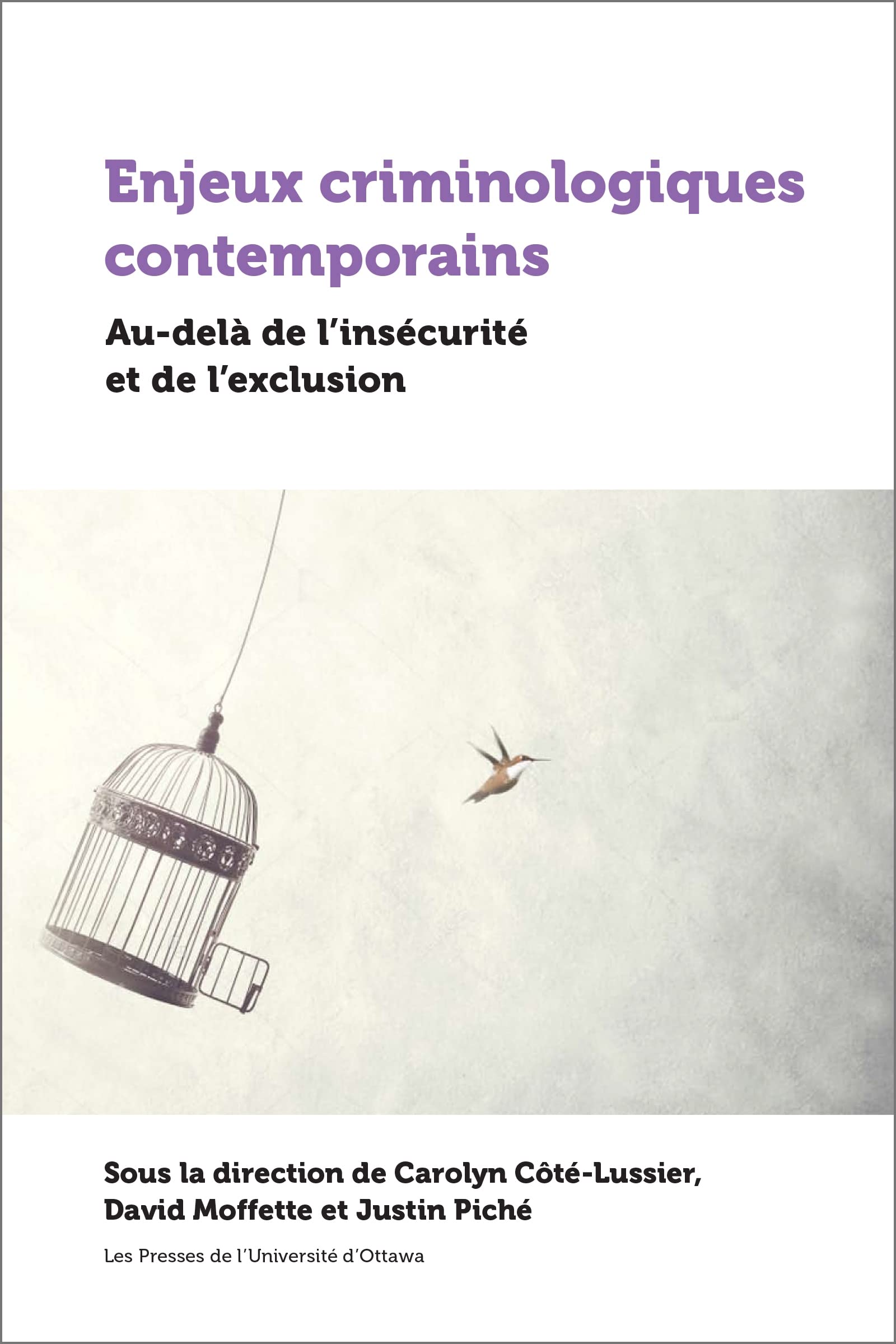 Enjeux criminologiques contemporains: au-delà de l'insécurité et de l'exclusion book