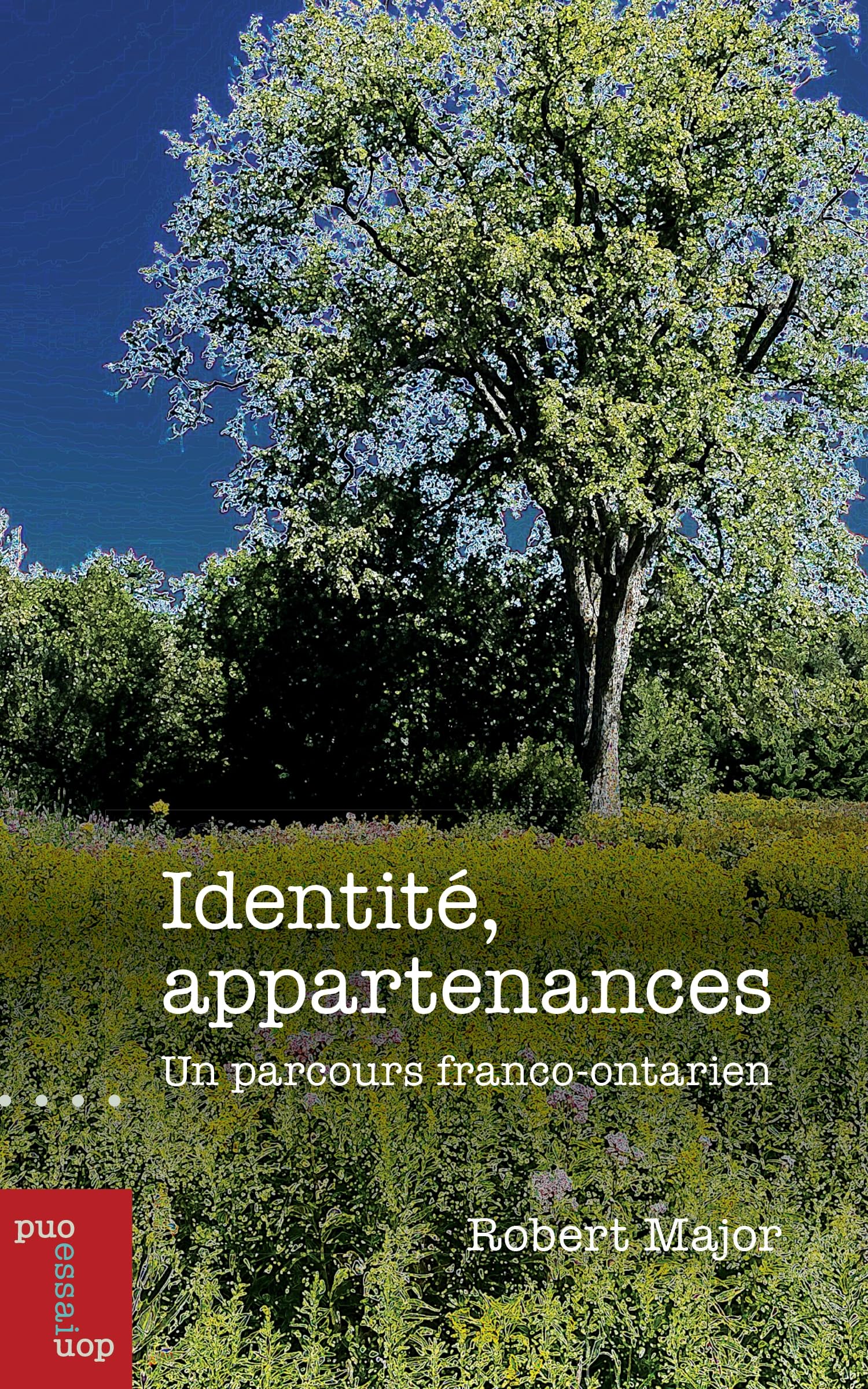Identité, appartenances: Un parcours franco-ontarien book